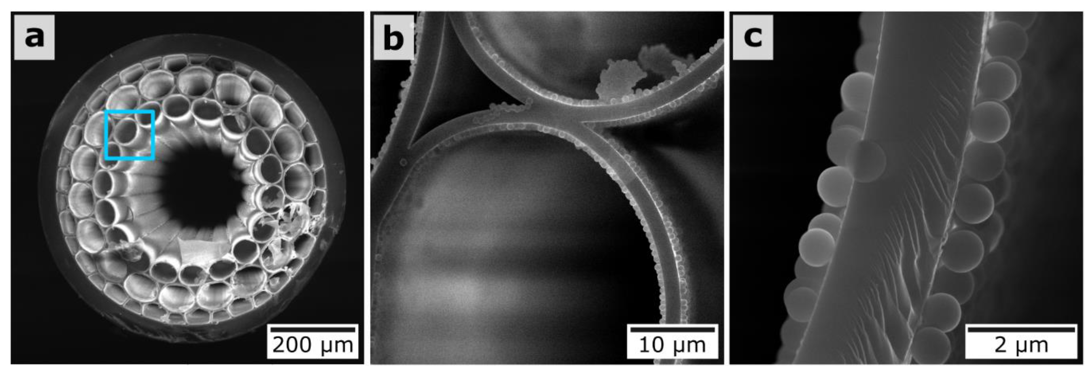 Materials 12 01424 g007