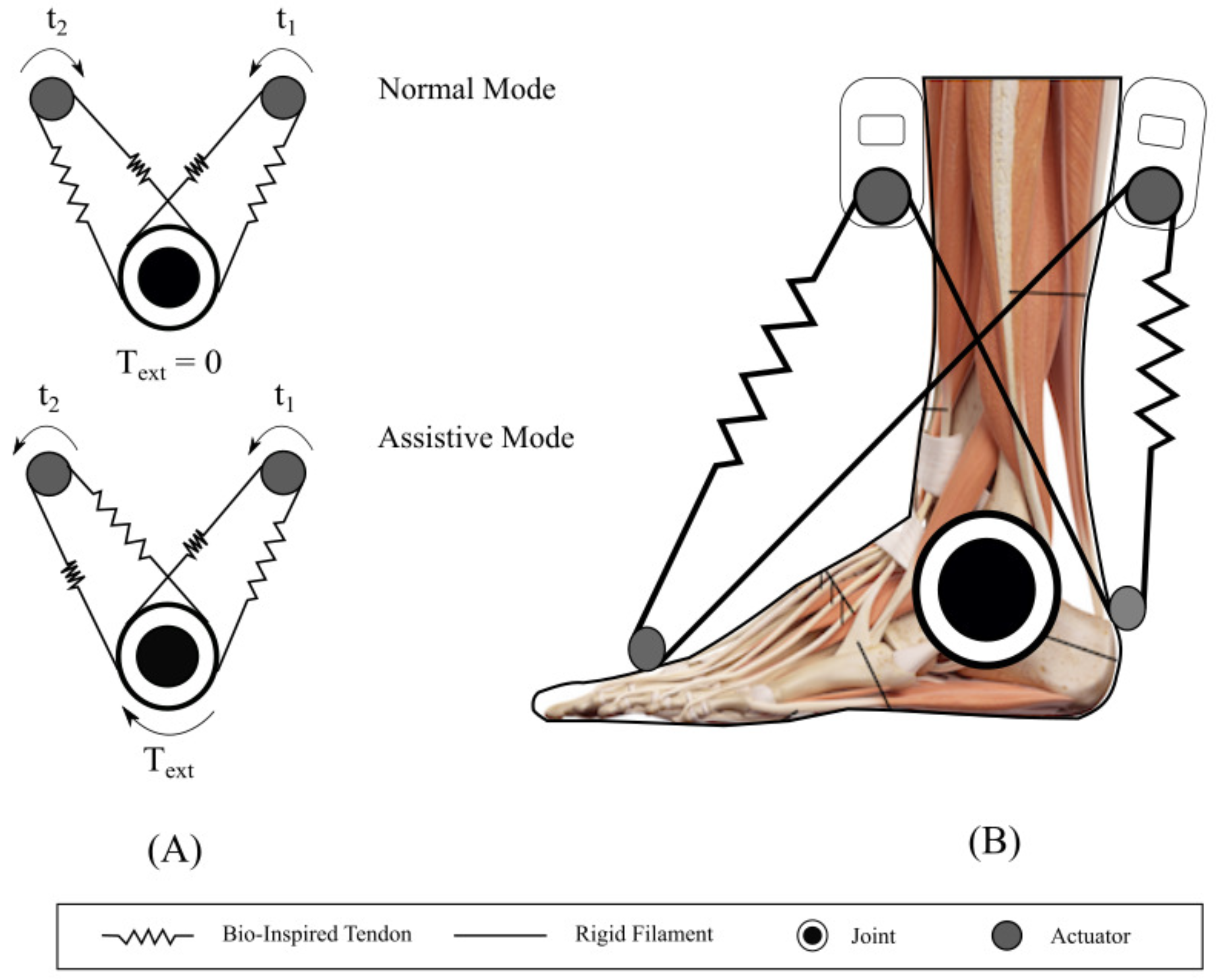 Materials 12 01443 g003 Materials 12 01443 g003