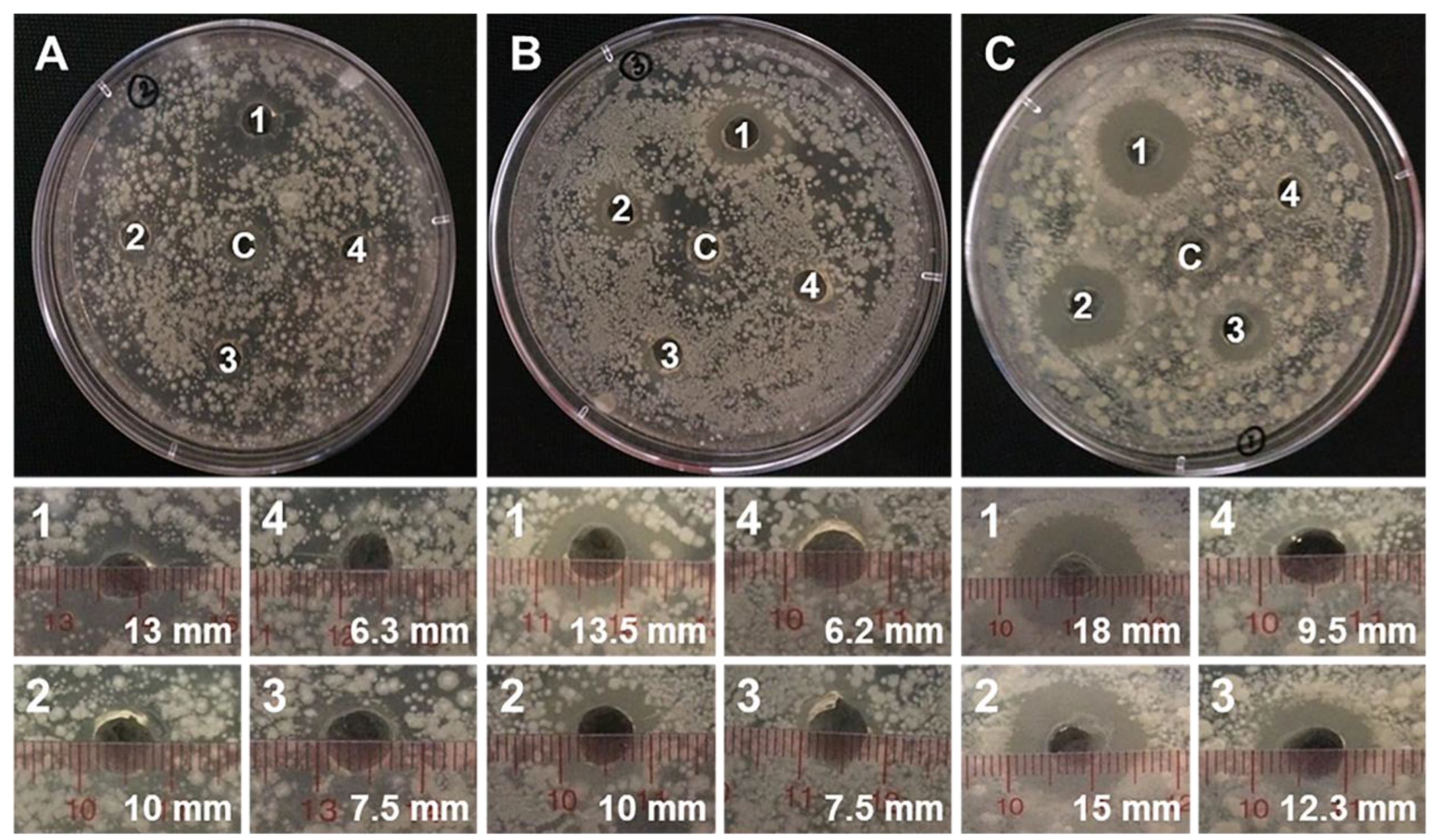 Materials 12 01446 g008 Materials 12 01446 g008
