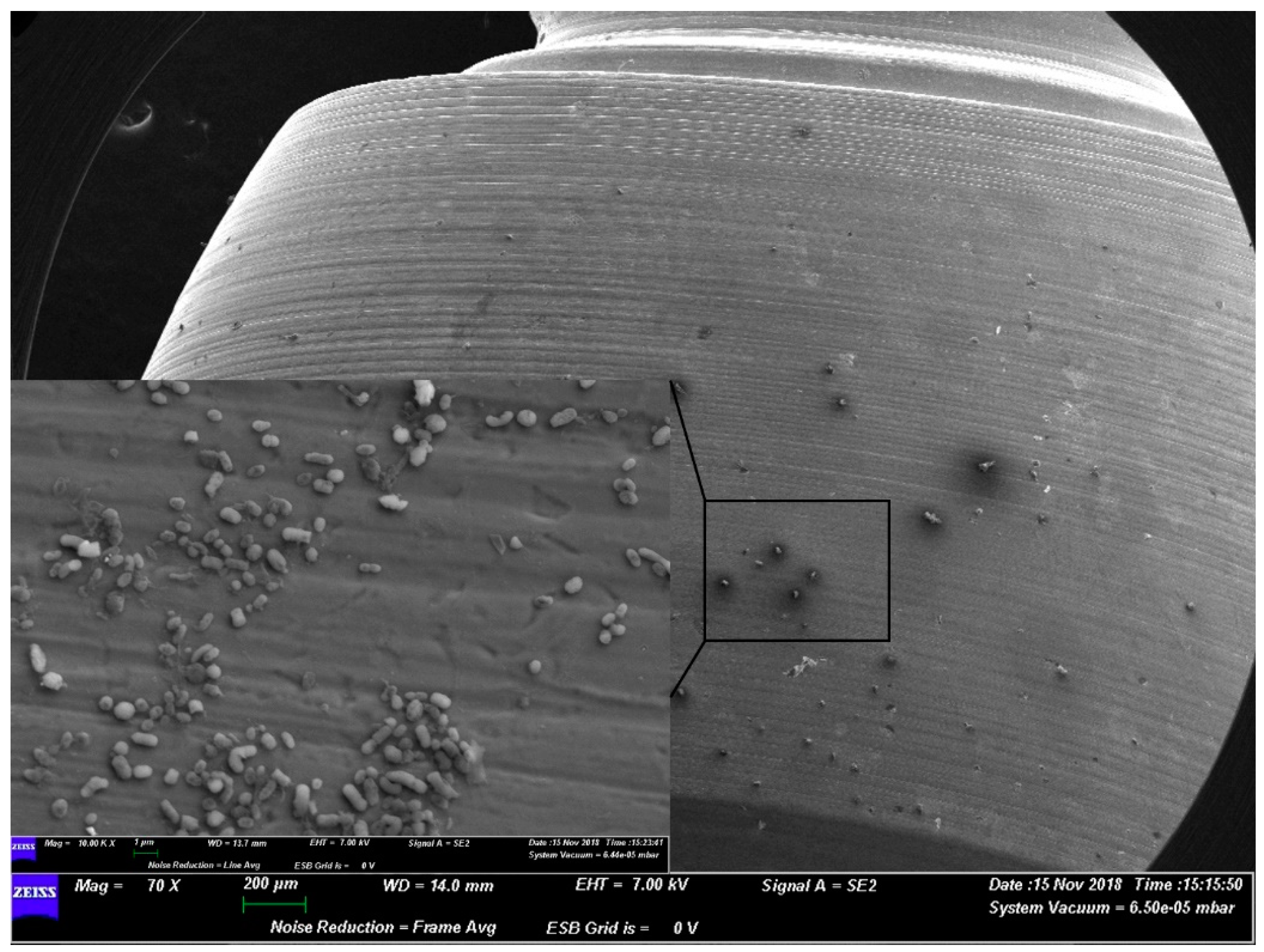 Materials 12 01448 g001