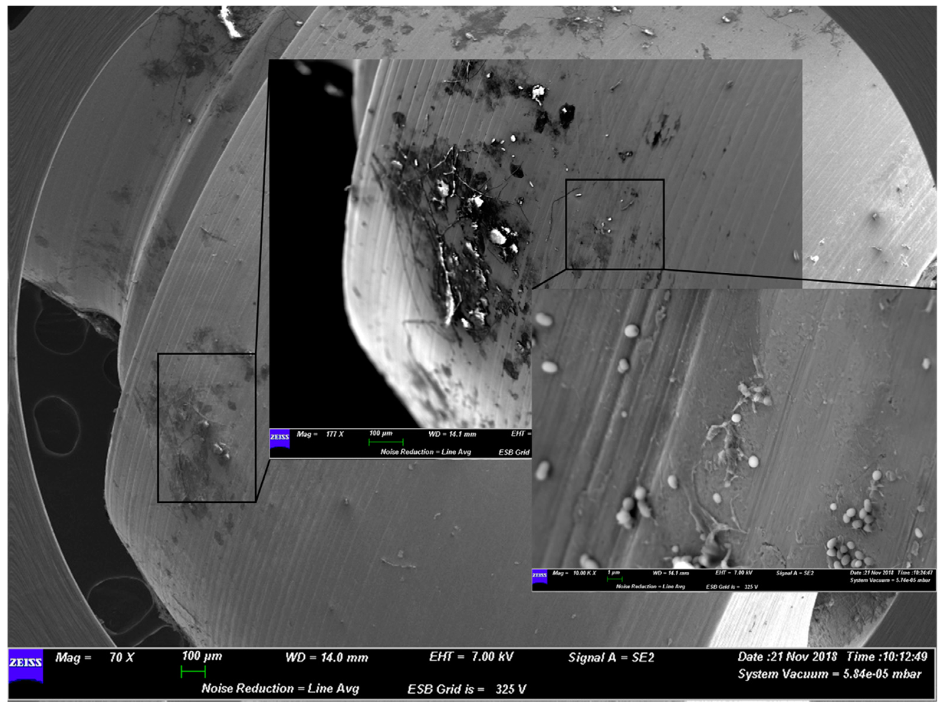 Materials 12 01448 g003