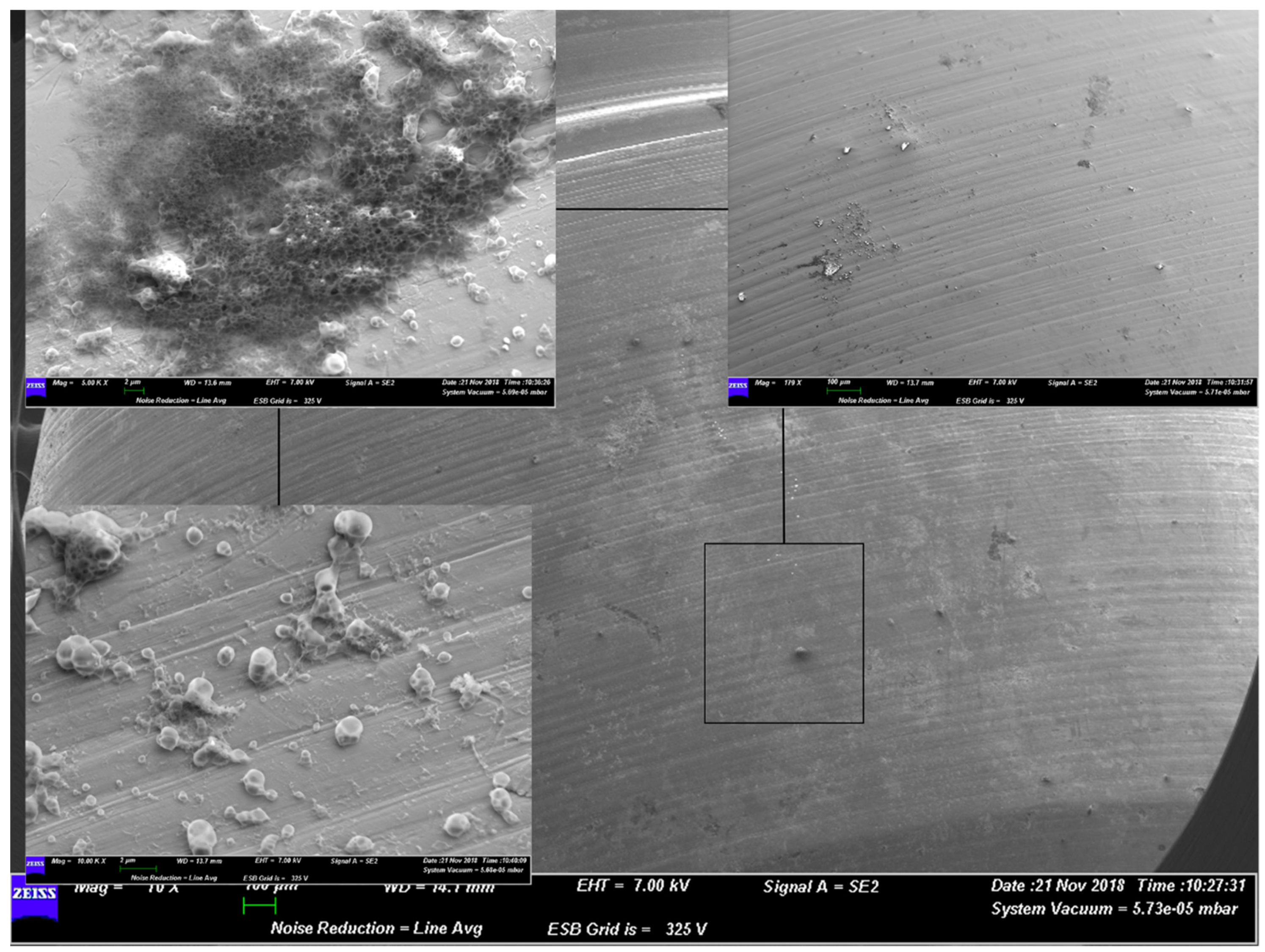 Materials 12 01448 g004