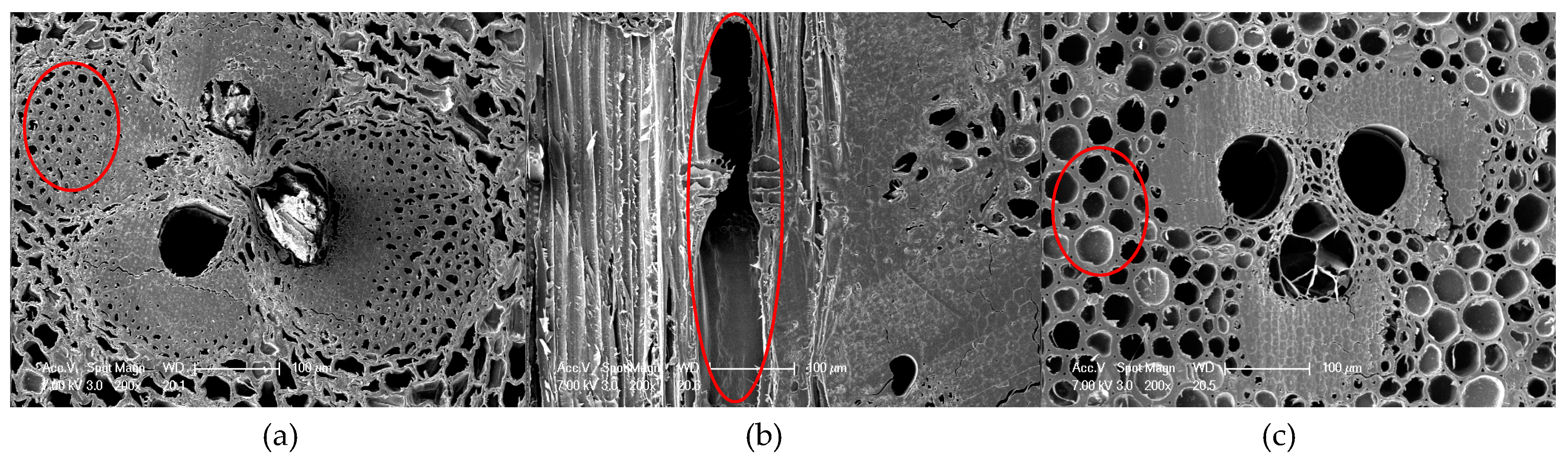 Materials 12 01450 g002 Materials 12 01450 g002