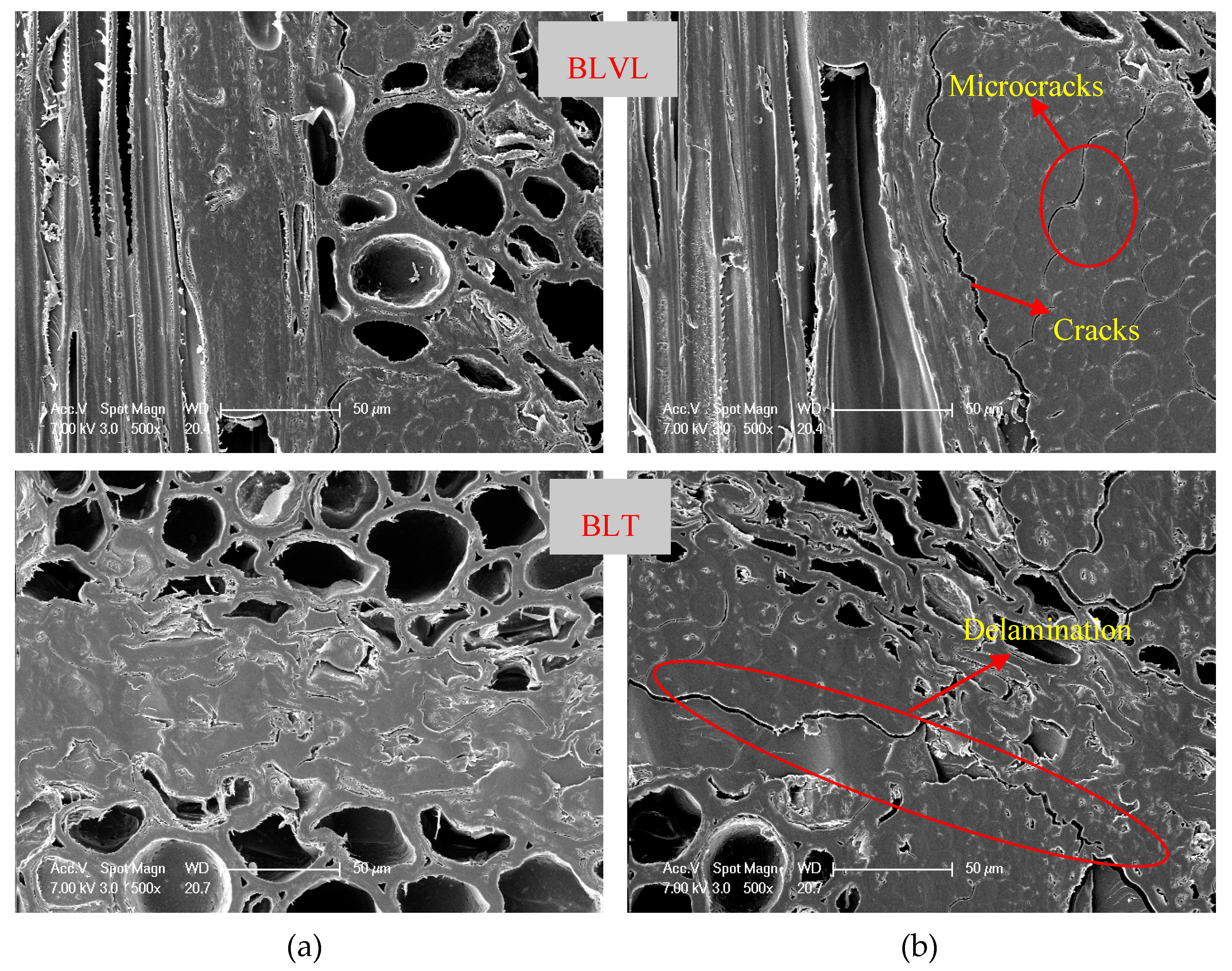 Materials 12 01450 g007b Materials 12 01450 g007b