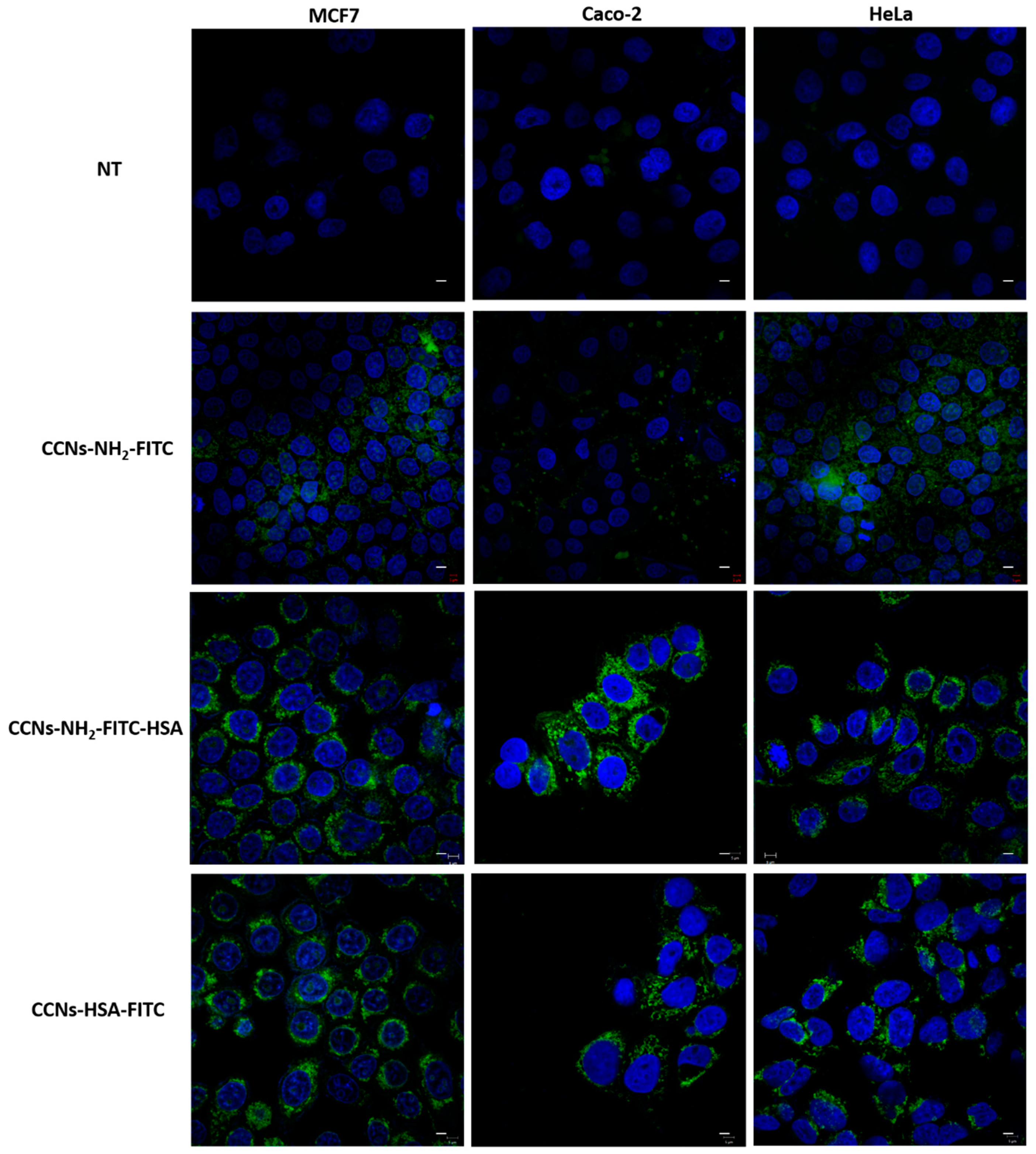 Materials 12 01481 g005 550
