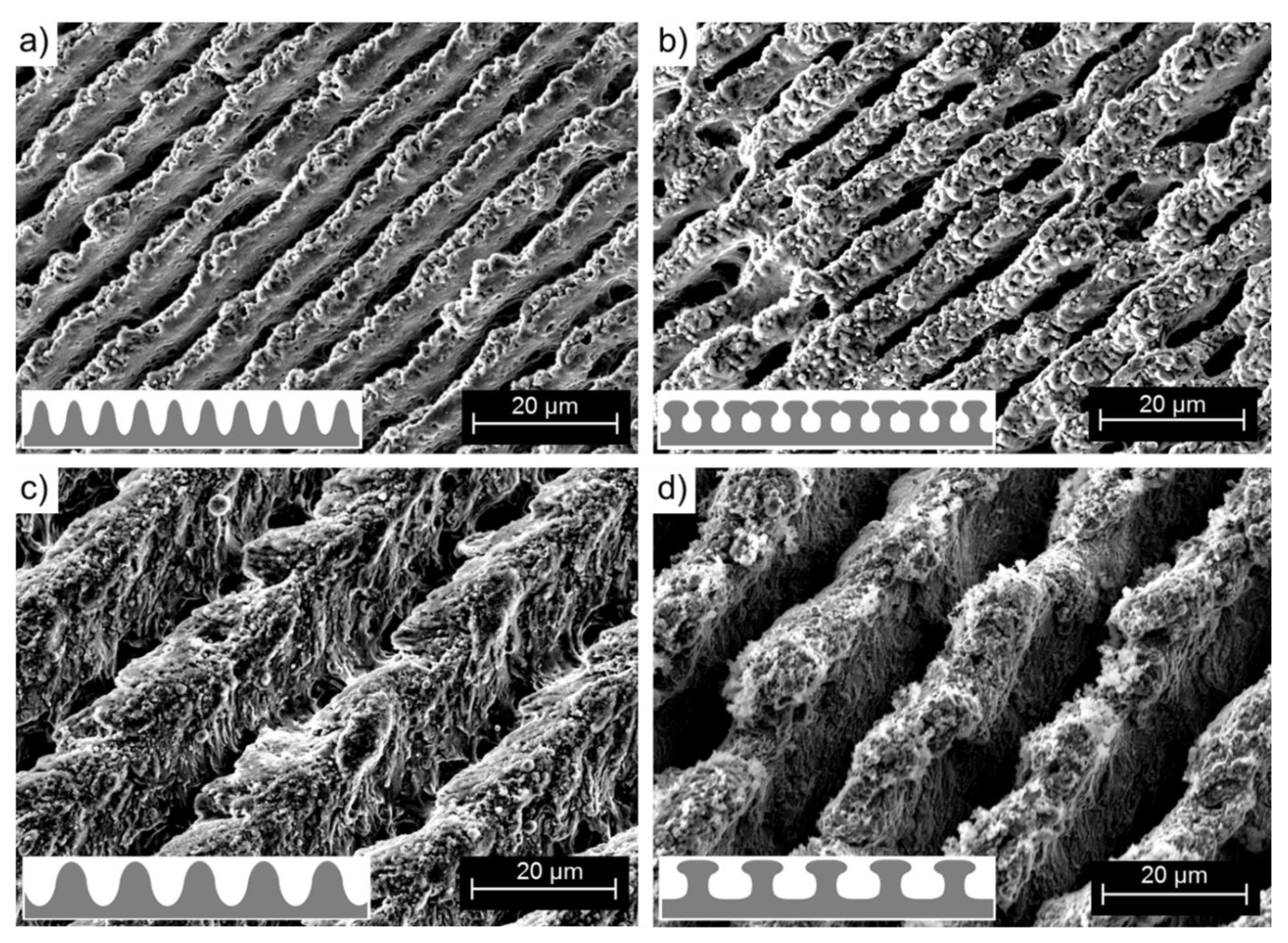 Materials 12 01484 g008