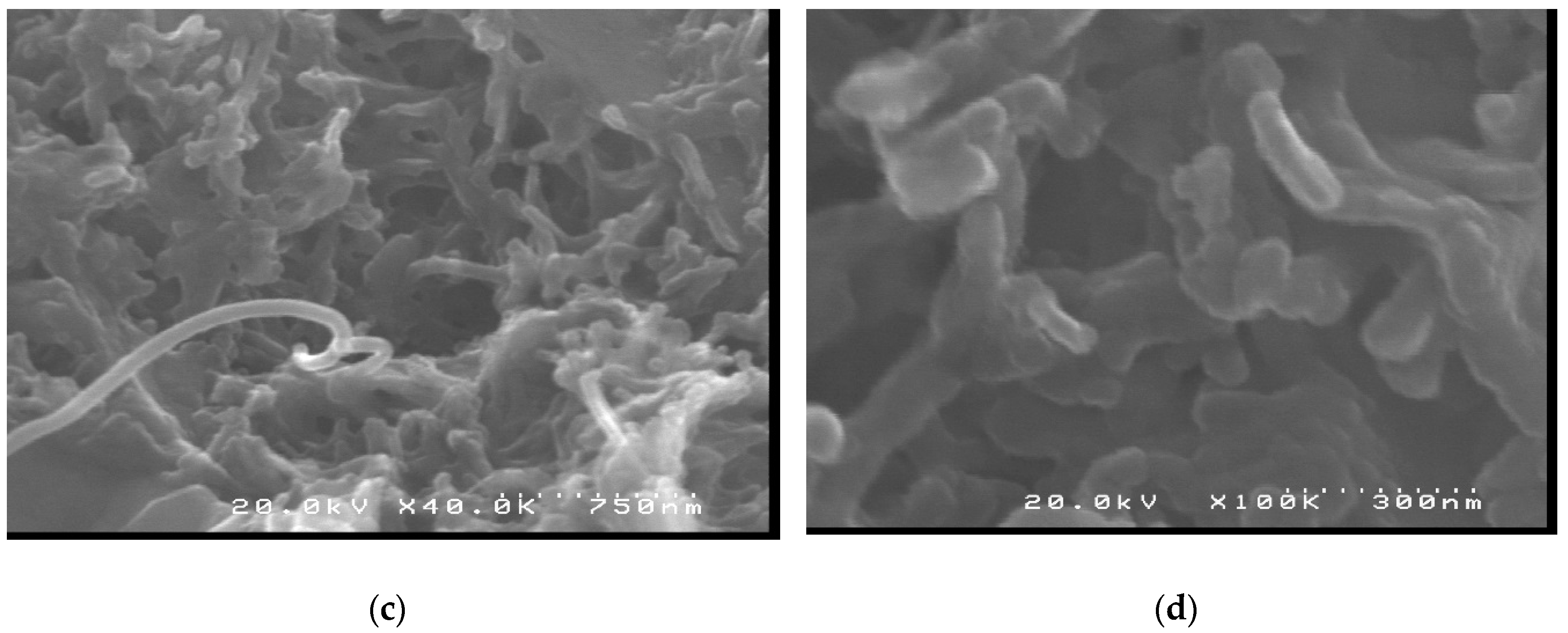 Materials 12 01504 g012b