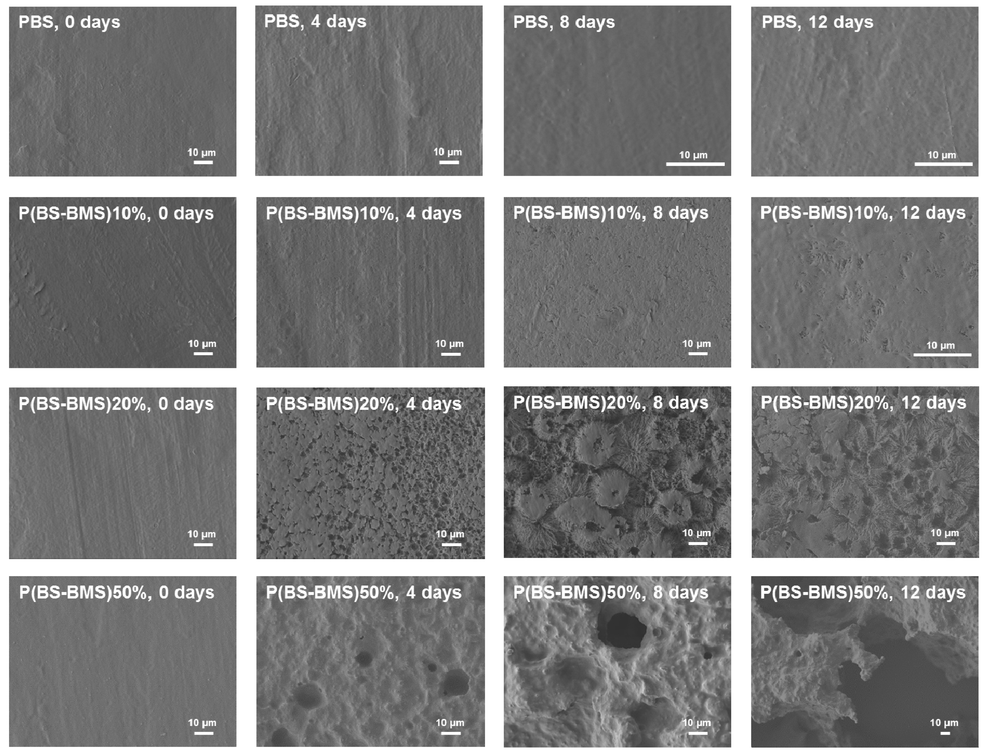 Materials 12 01507 g006