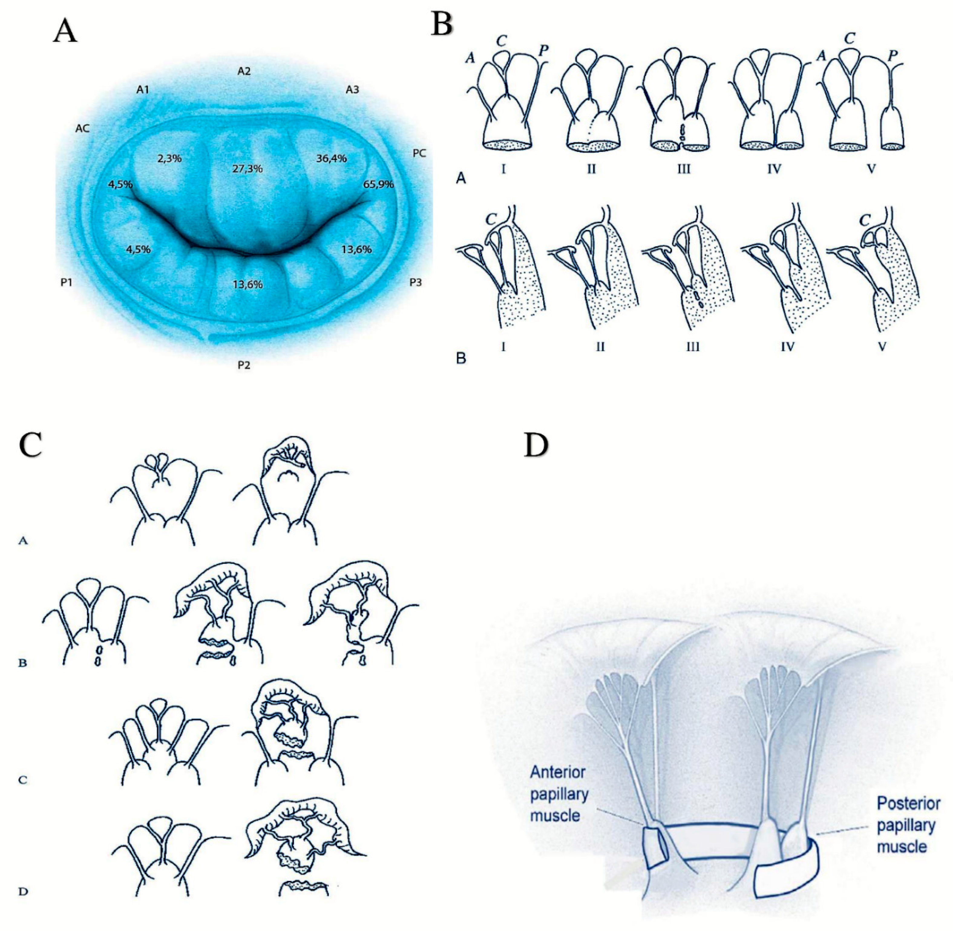 Materials 12 01518 g001 Materials 12 01518 g001