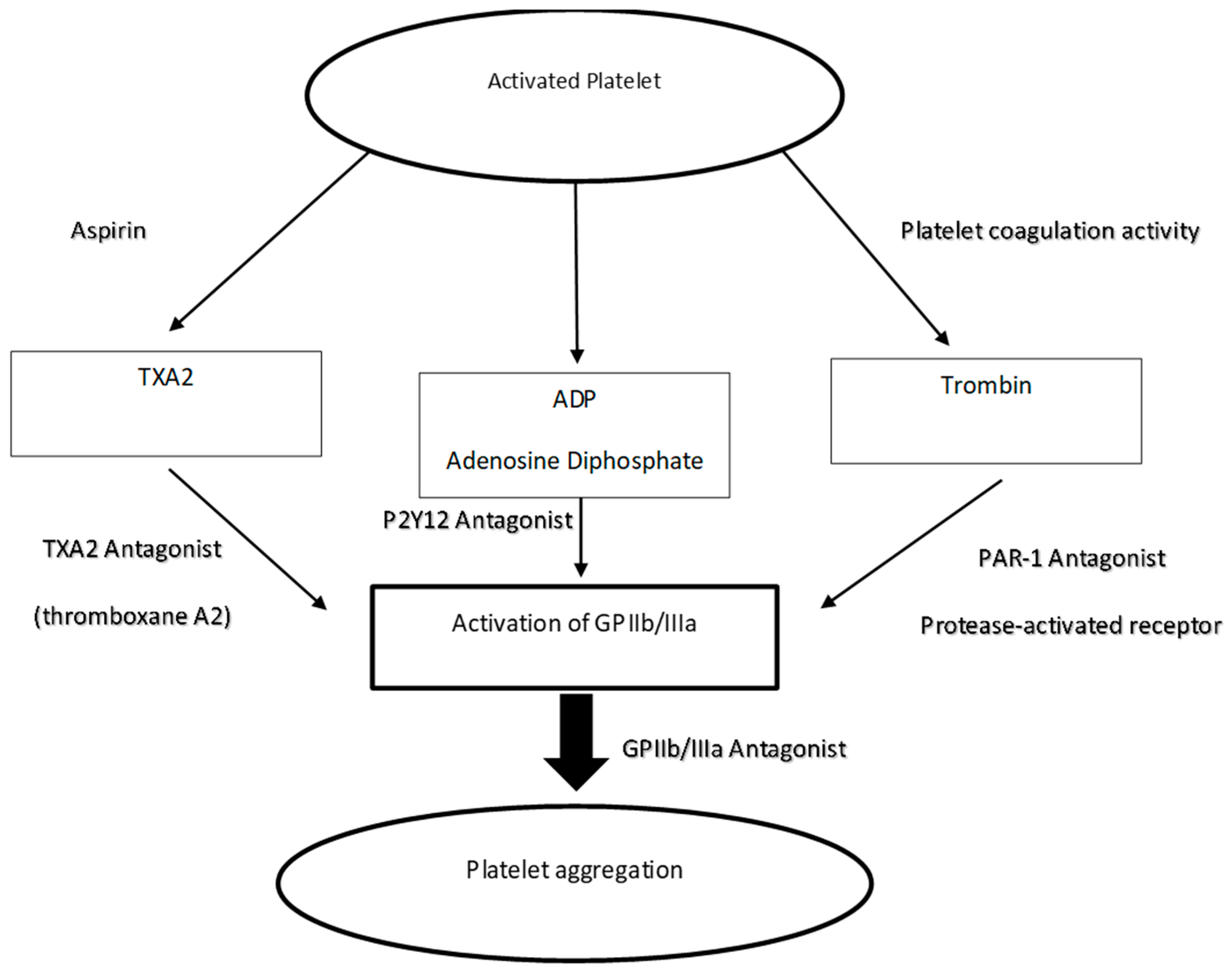 Antiplatelet Drug Comparison Chart