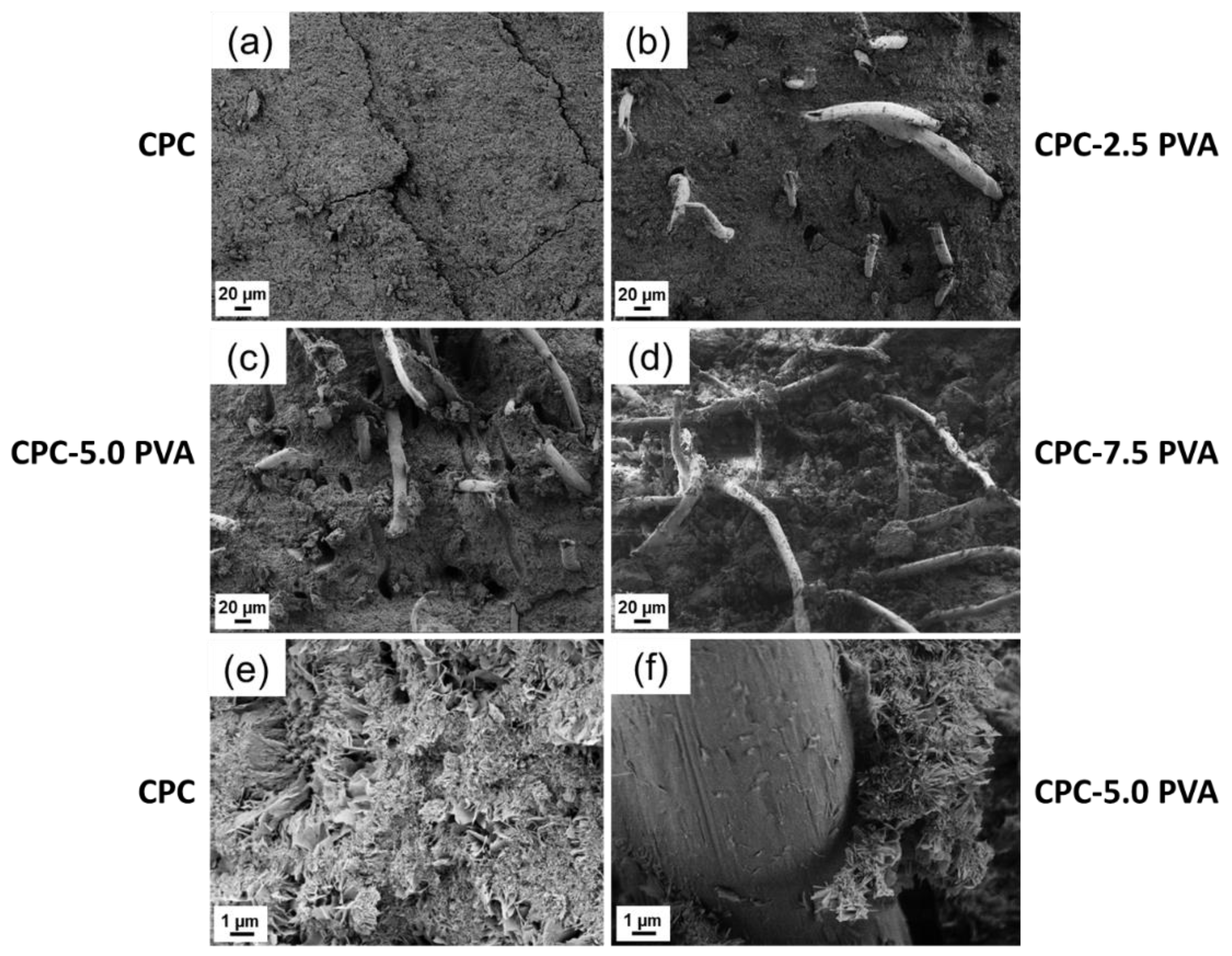 Materials 12 01531 g005 Materials 12 01531 g005