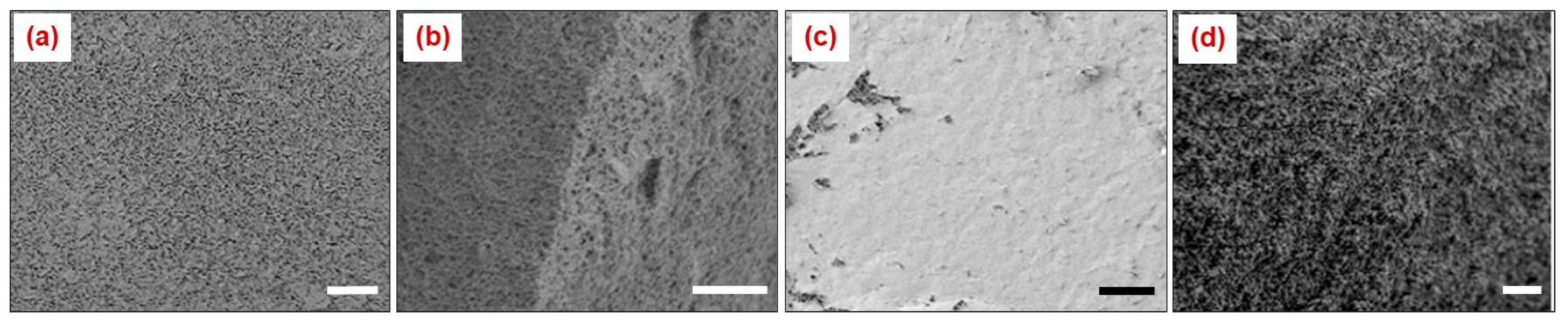 Materials 12 01543 g016