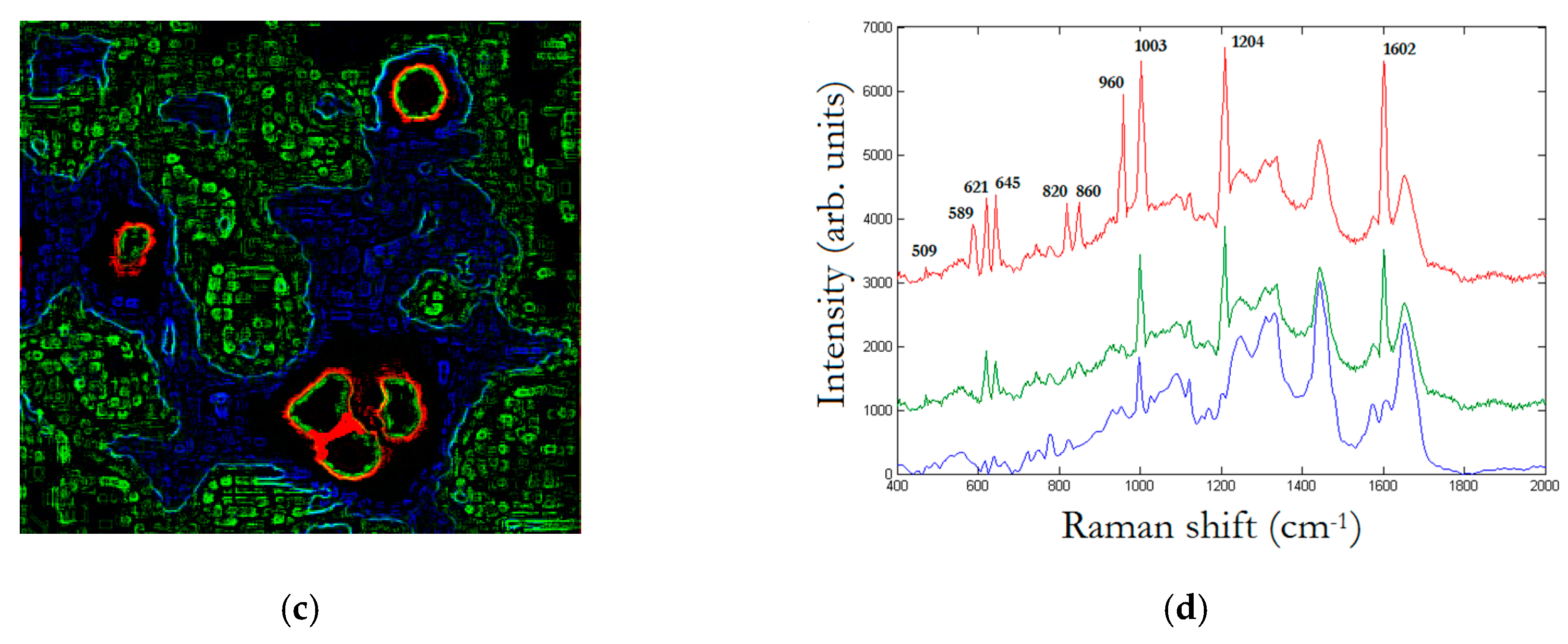Materials 12 01564 g007b