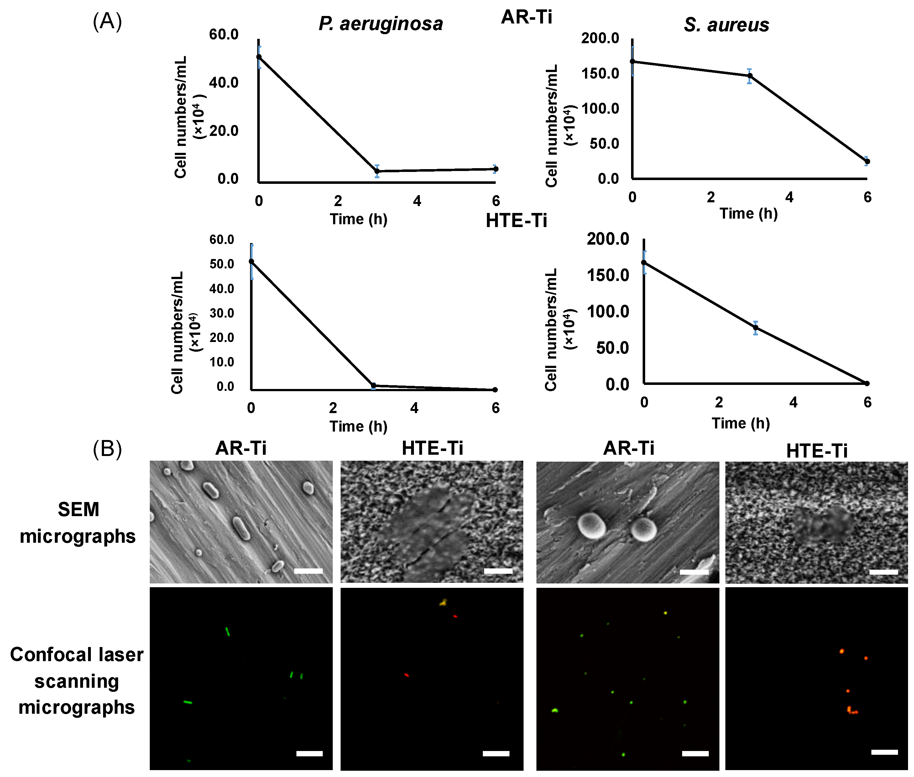 Materials 12 01575 g001 Materials 12 01575 g001