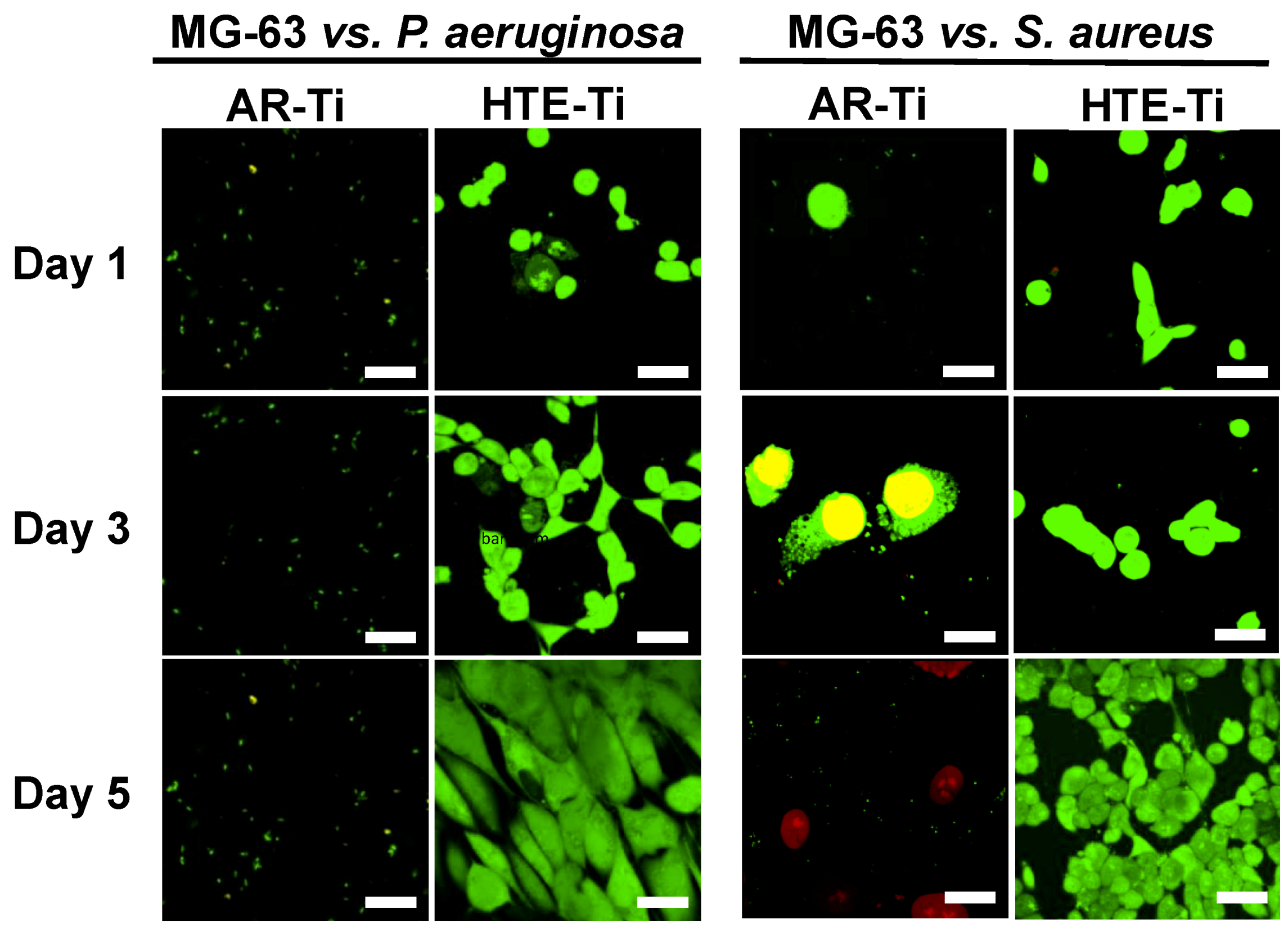 Materials 12 01575 g003 Materials 12 01575 g003