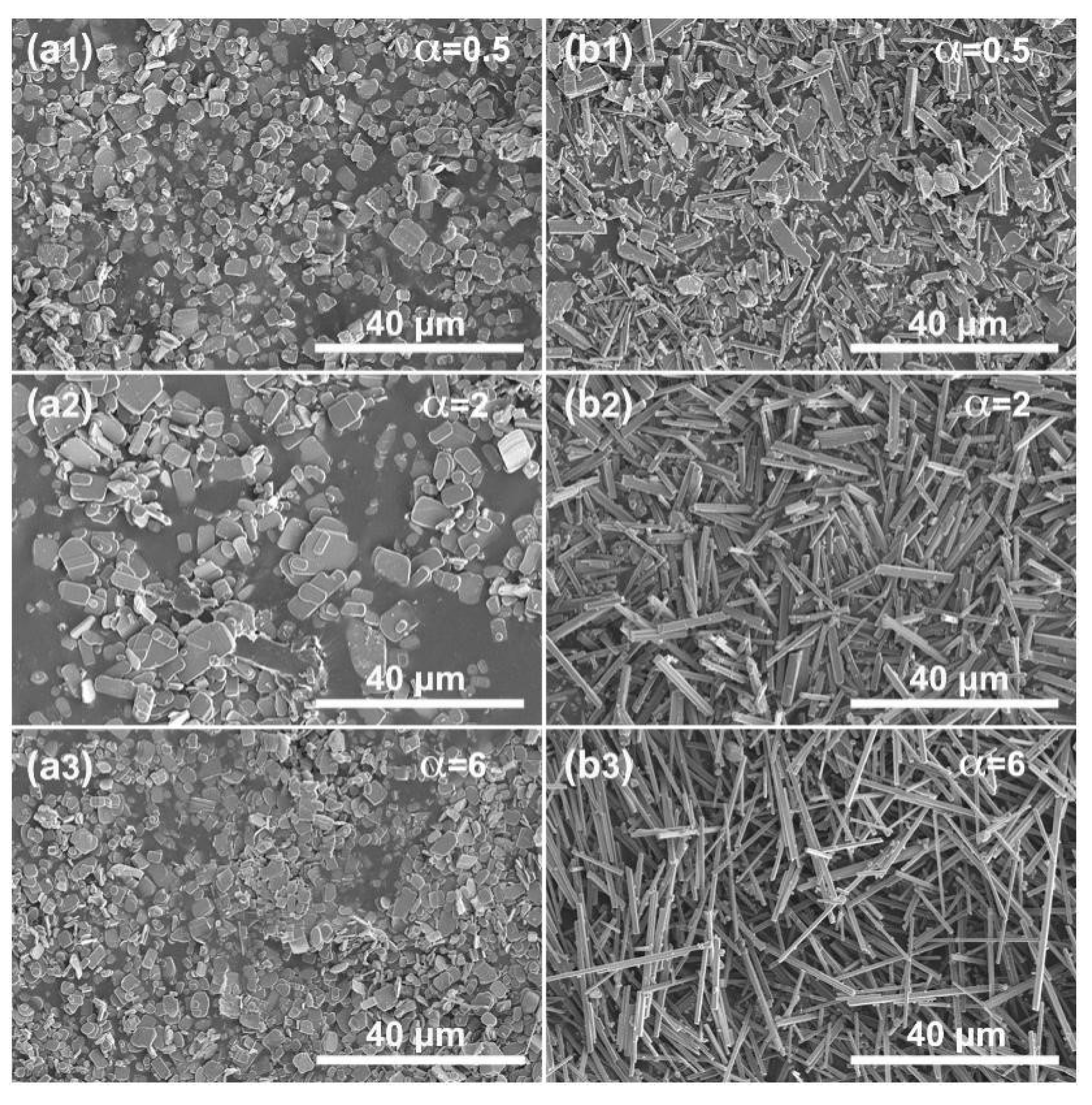 Materials 12 01577 g005 550