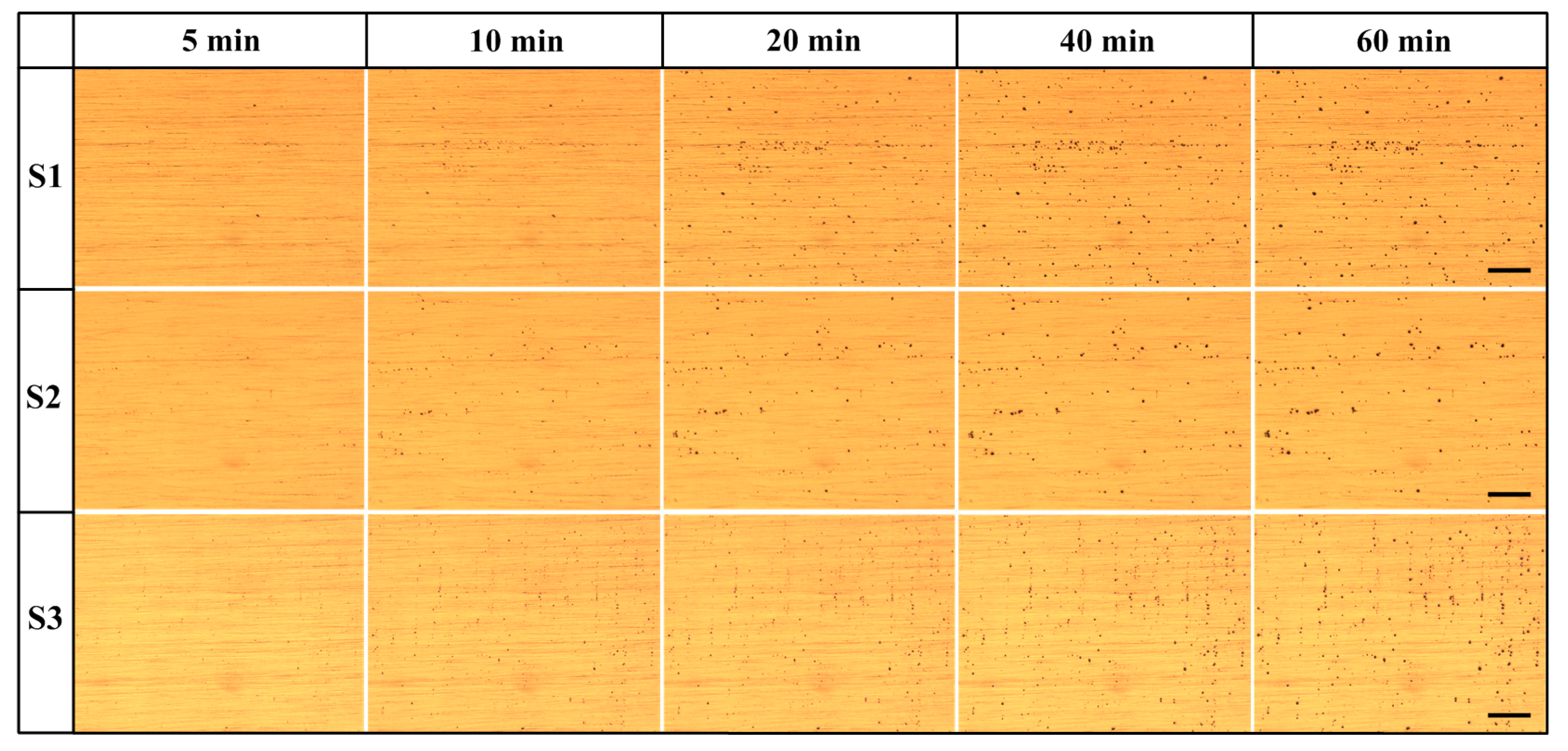 Materials 12 01600 g008