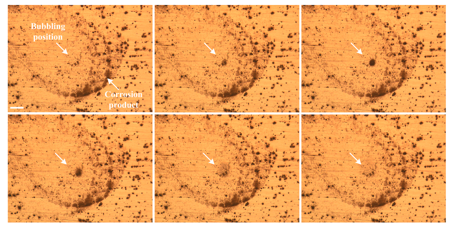 Materials 12 01600 g016