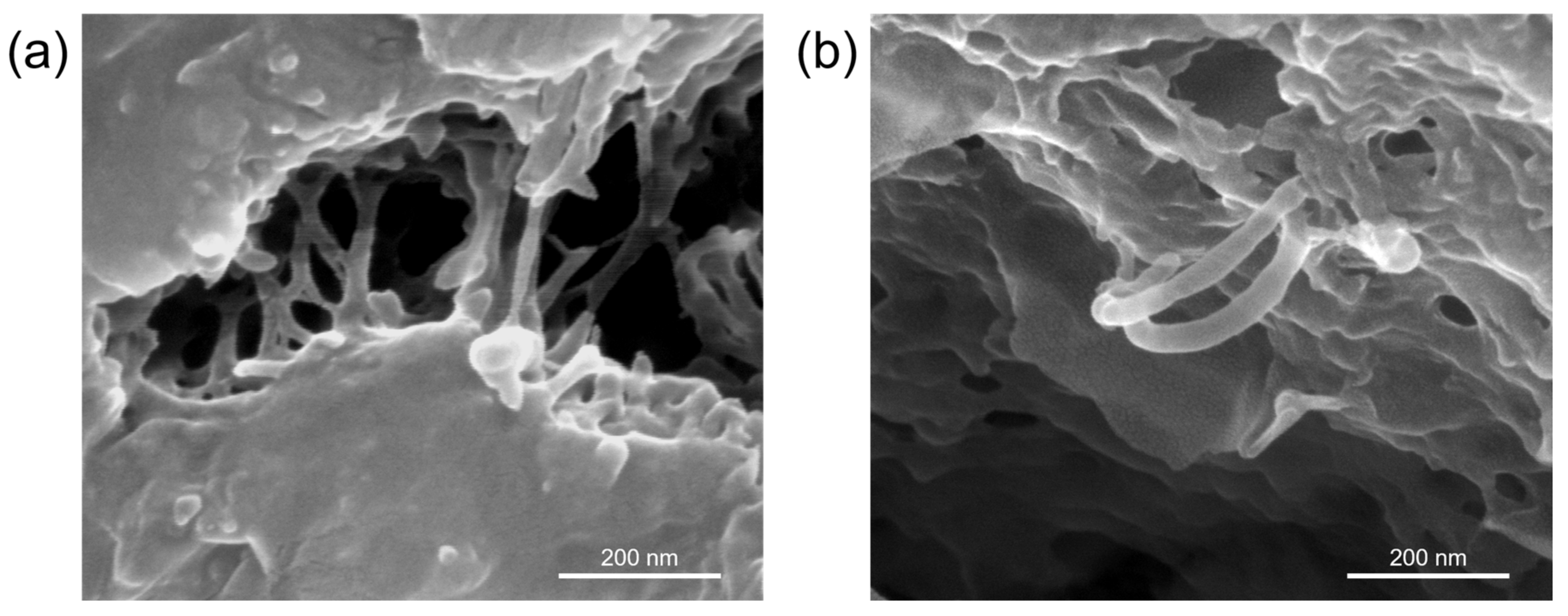 Materials 12 01617 g013