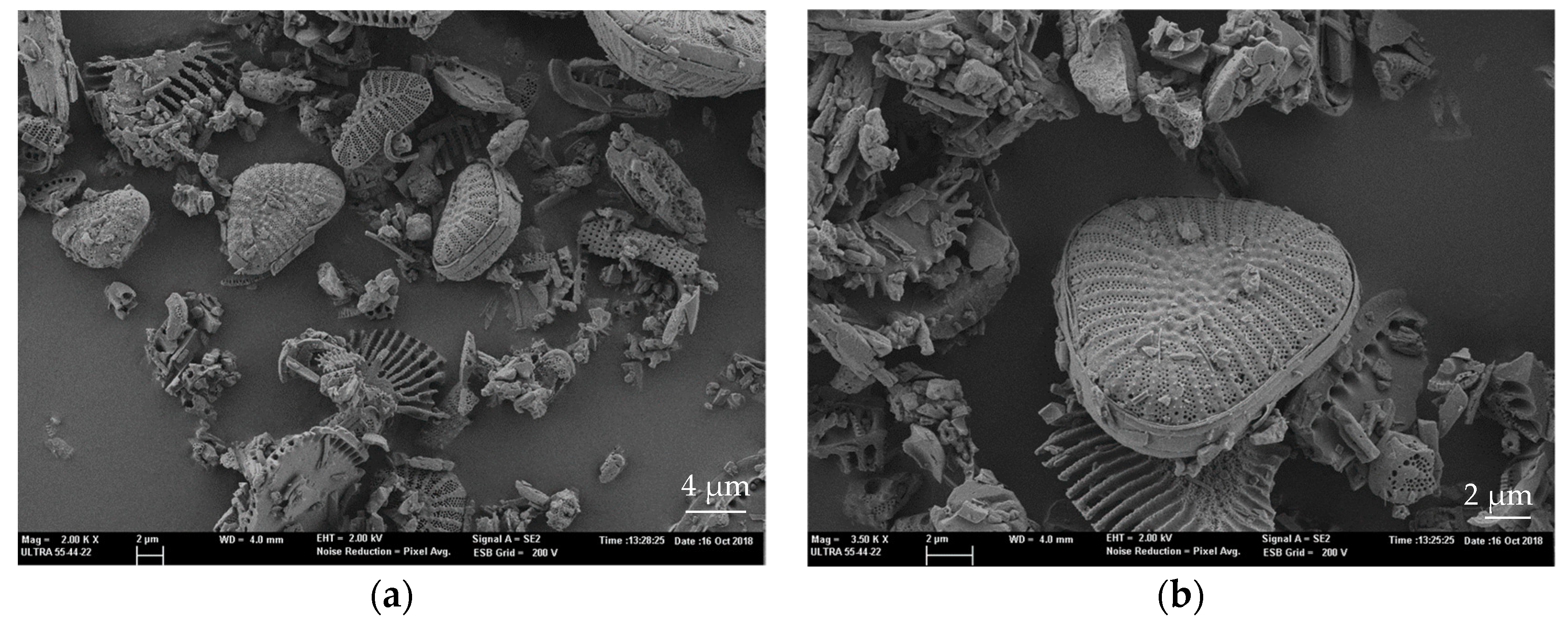 Materials 12 01627 g002 Materials 12 01627 g002