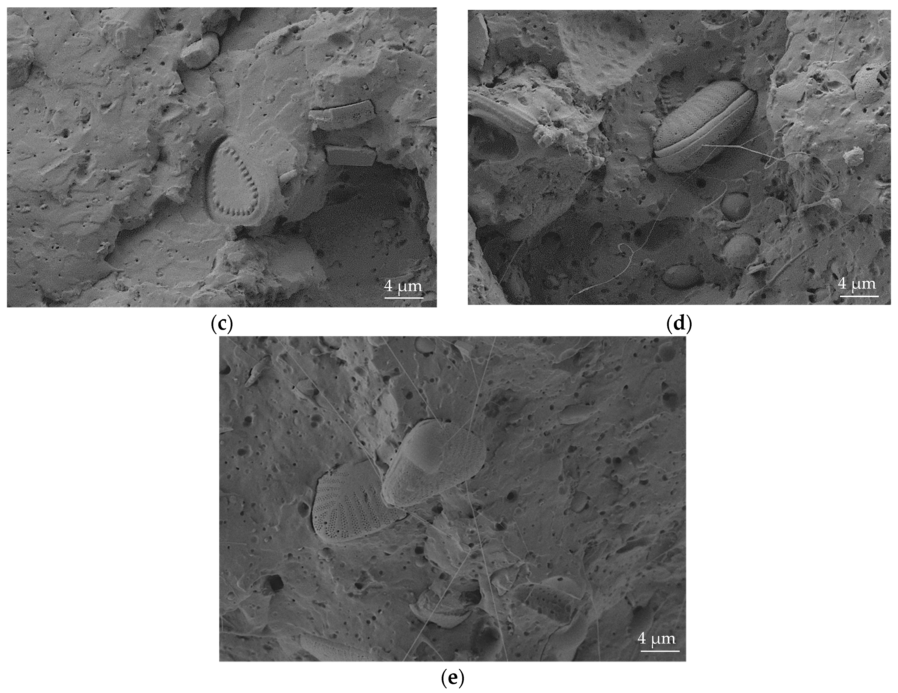 Materials 12 01627 g007b Materials 12 01627 g007b