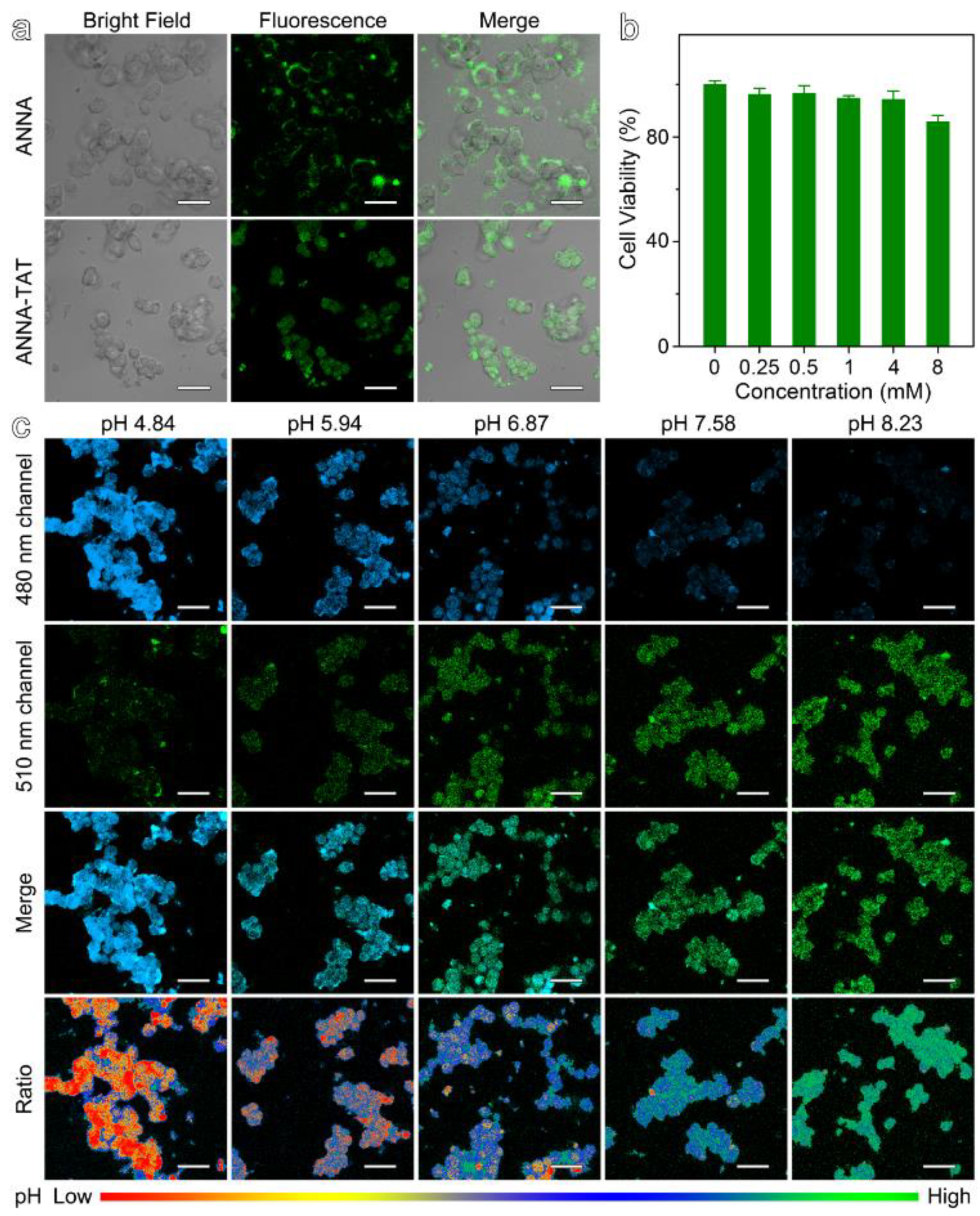 Materials 12 01632 g002 Materials 12 01632 g002