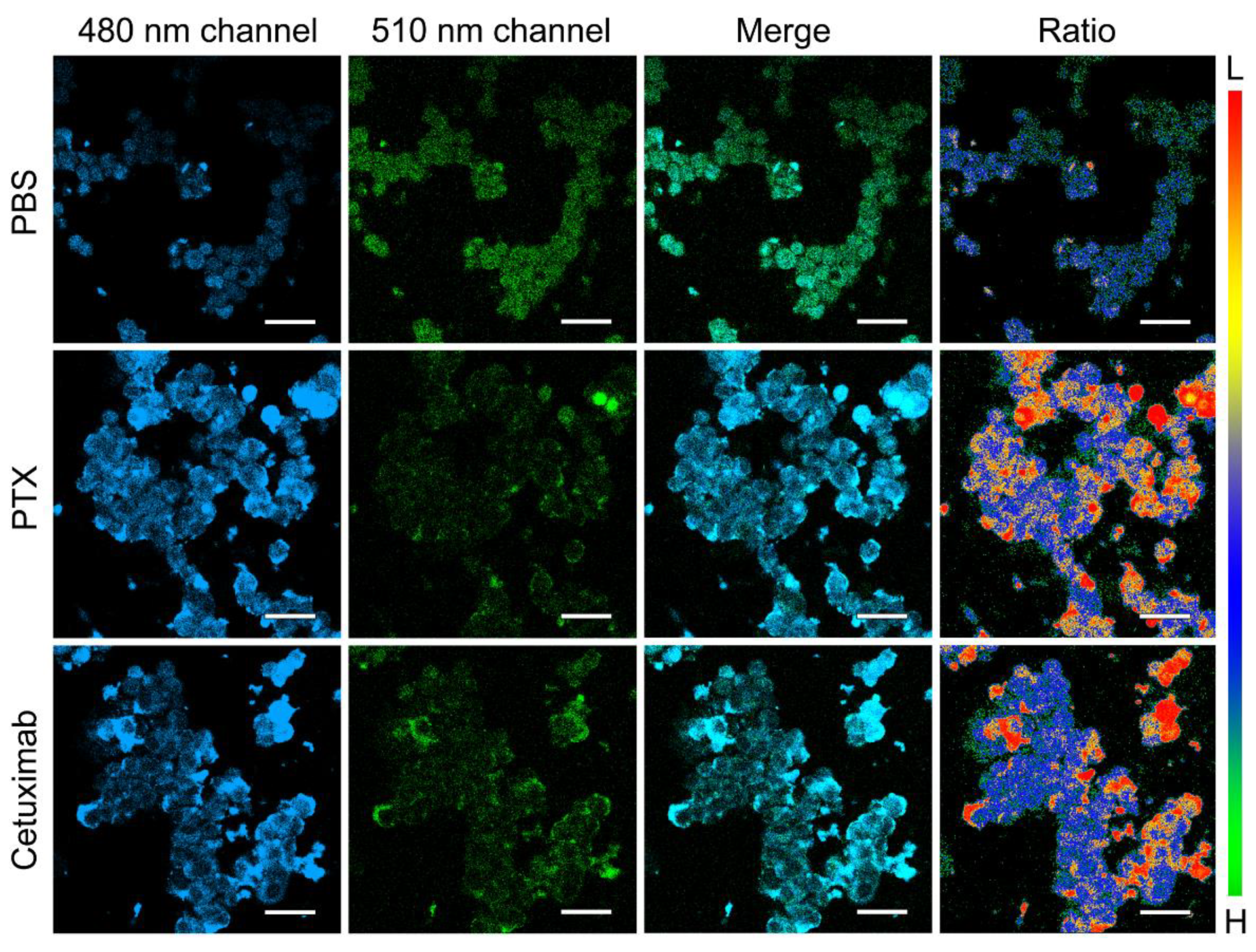 Materials 12 01632 g003 Materials 12 01632 g003