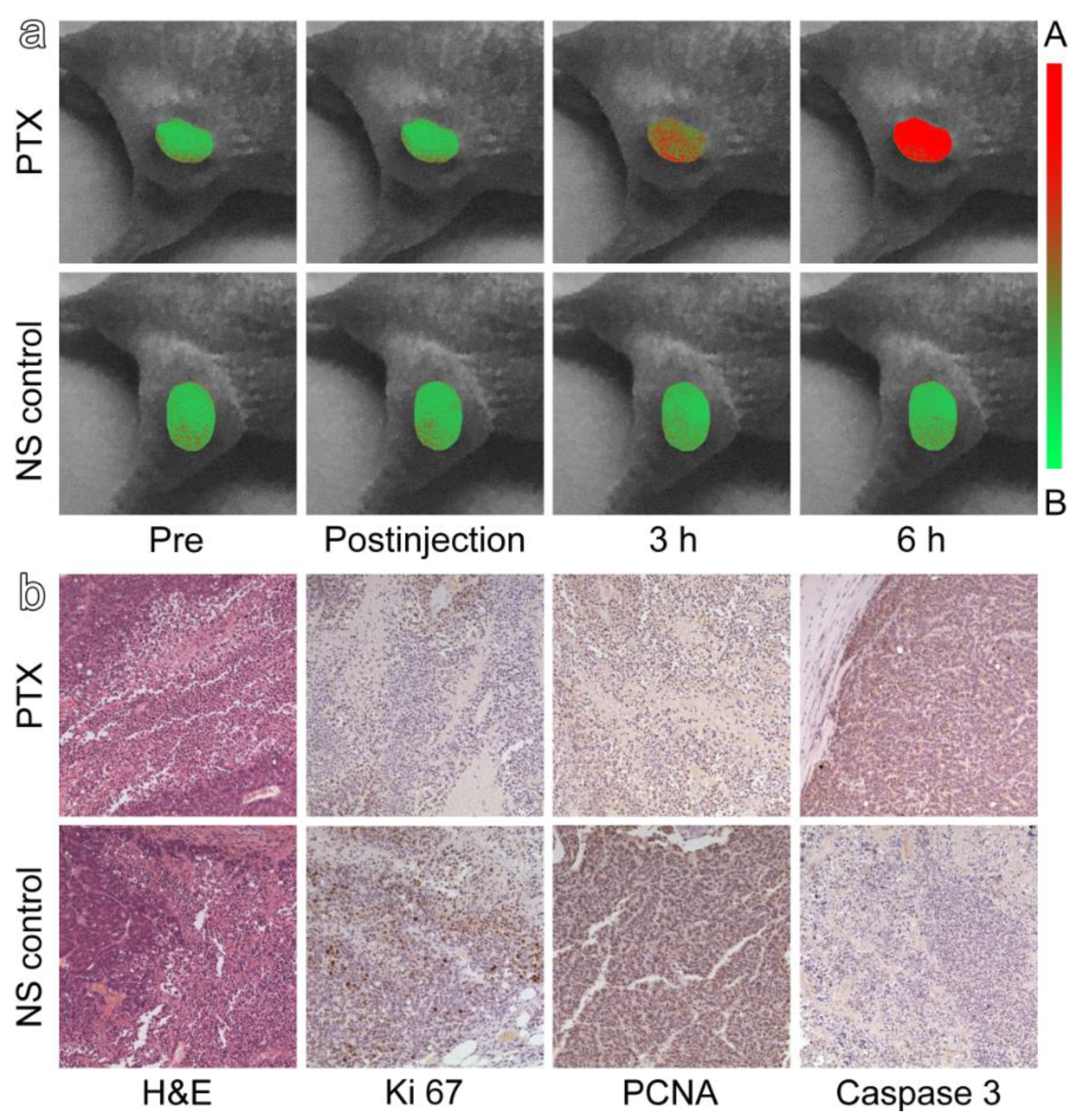 Materials 12 01632 g005 Materials 12 01632 g005
