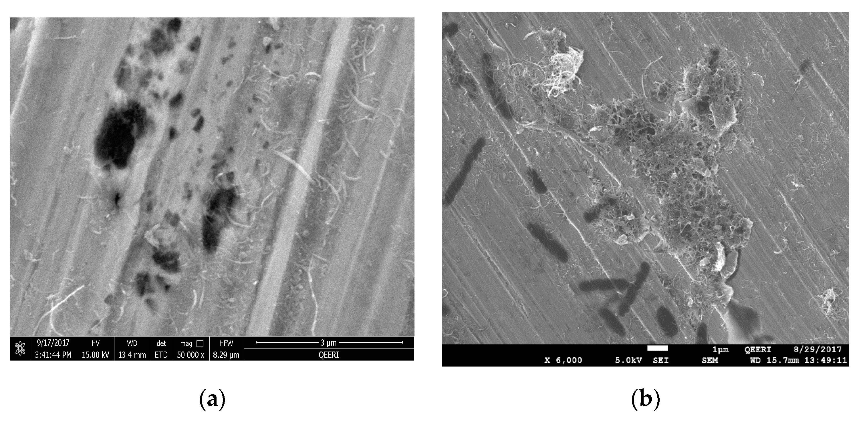 Materials 12 01634 g008a Materials 12 01634 g008a