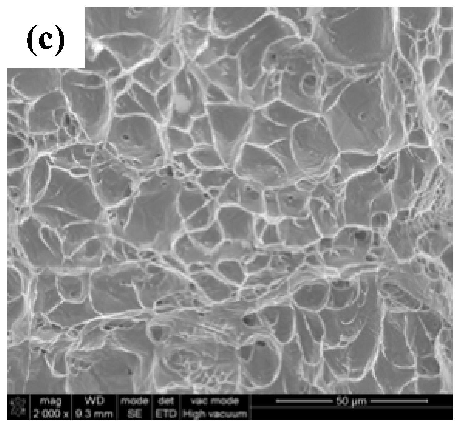 Materials 12 01638 g004b 550