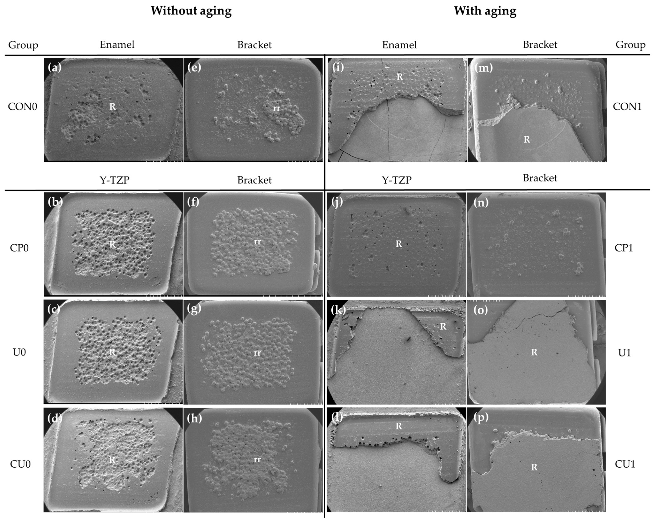 Materials Free Full Text Effect Of Simplified Bonding On Shear Bond Strength Between Ceramic Brackets And Dental Zirconia Html