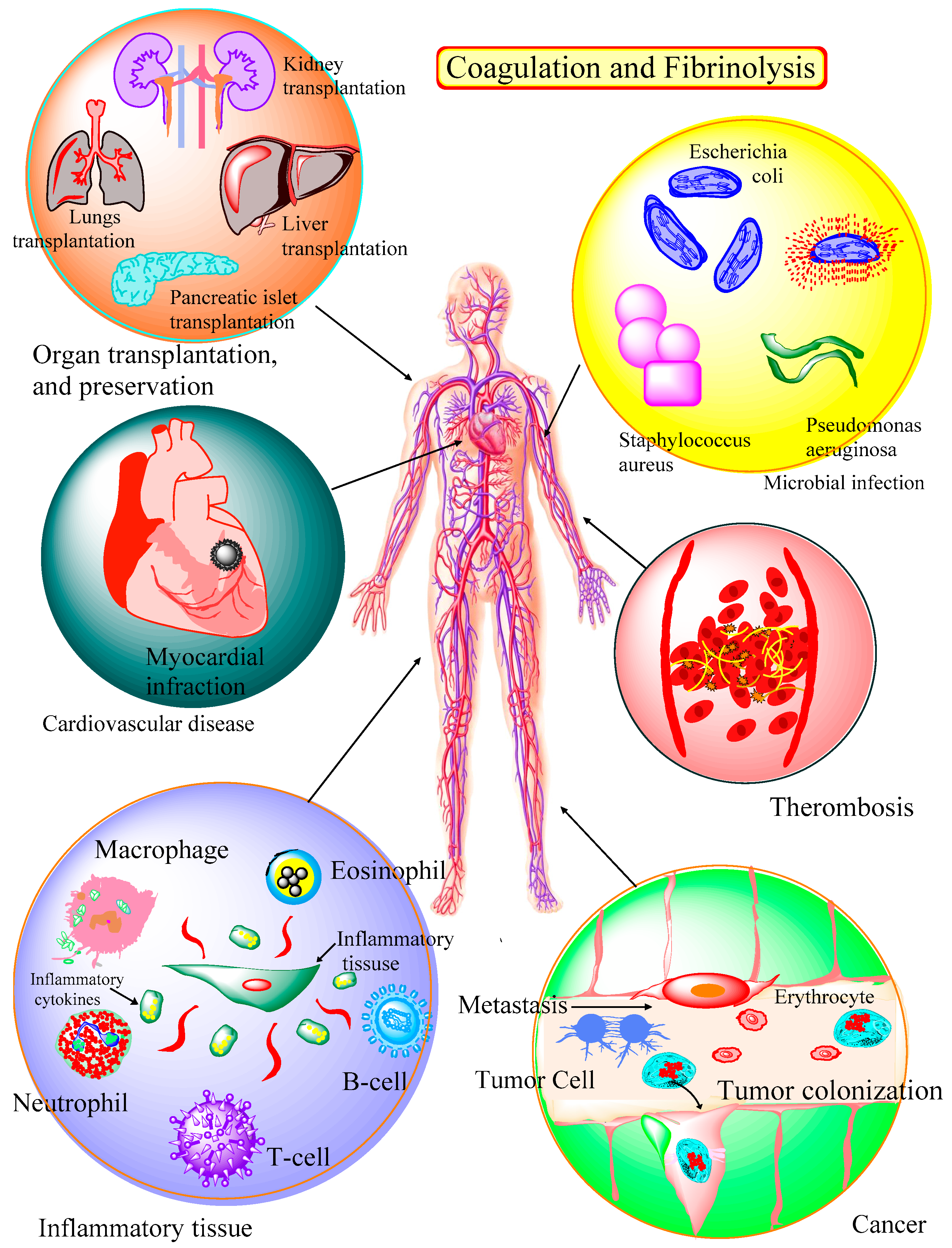 Materials 12 01643 g002 Materials 12 01643 g002