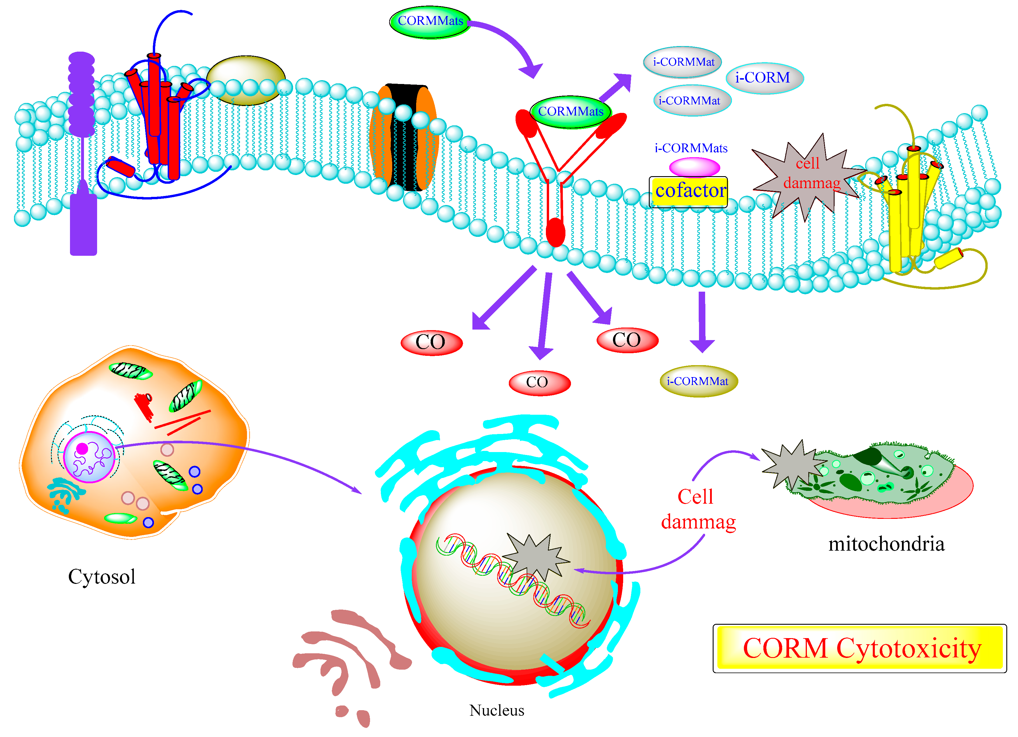 Materials 12 01643 g029 Materials 12 01643 g029