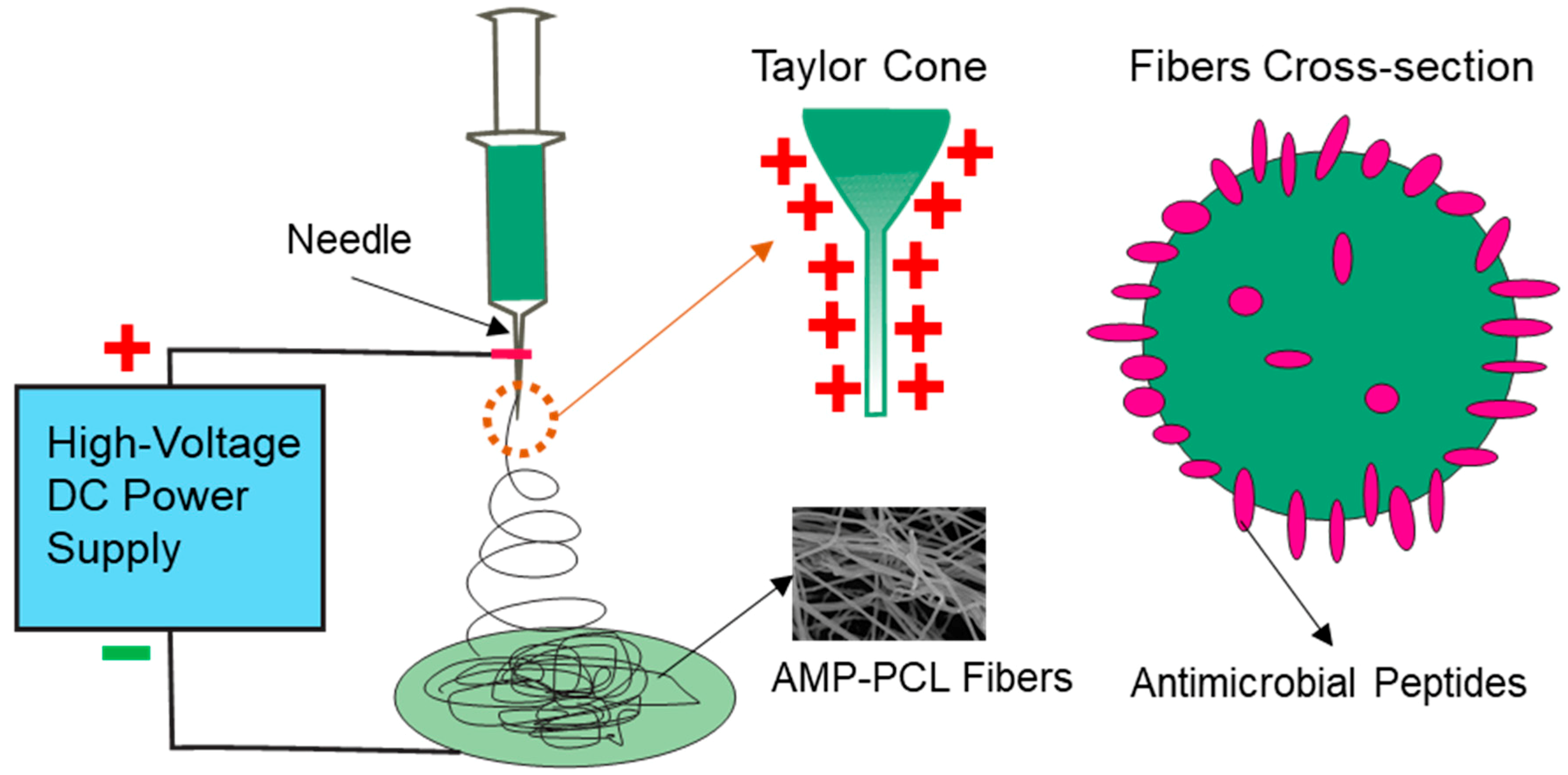 Materials 12 01676 g007 Materials 12 01676 g007