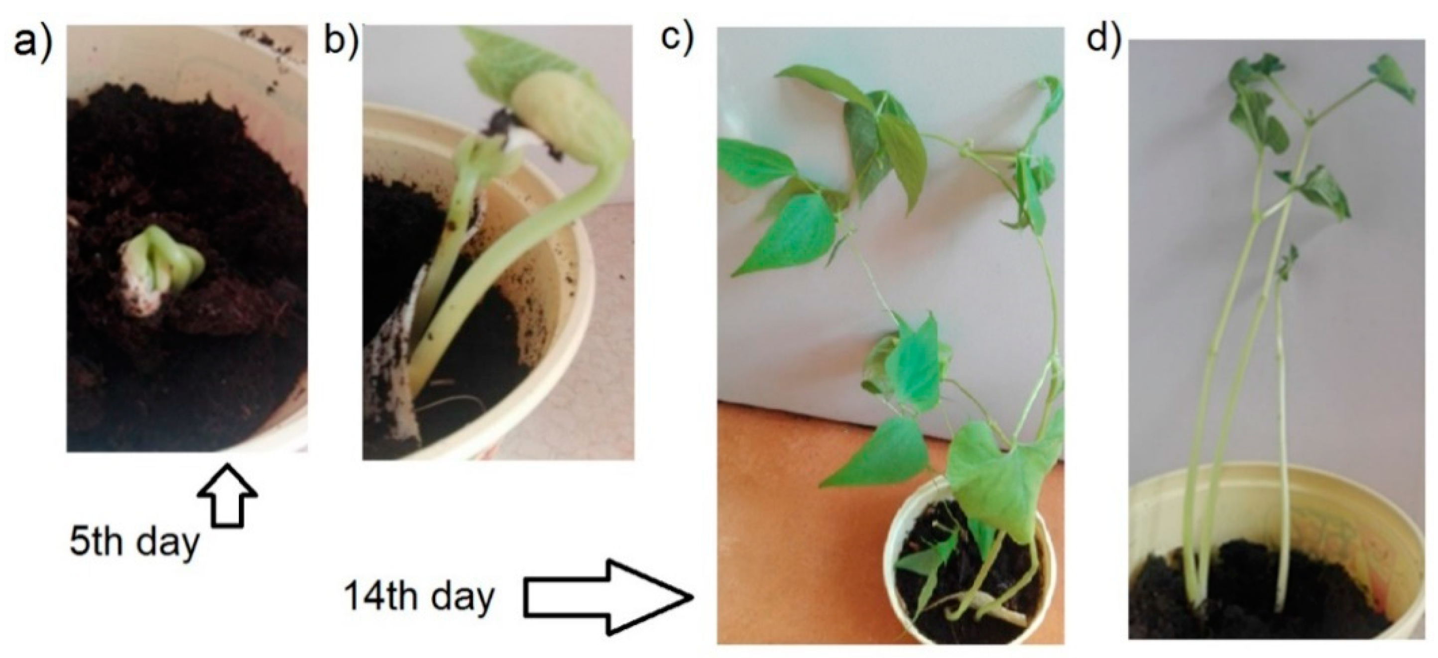 Materials 12 01684 g014 Materials 12 01684 g014