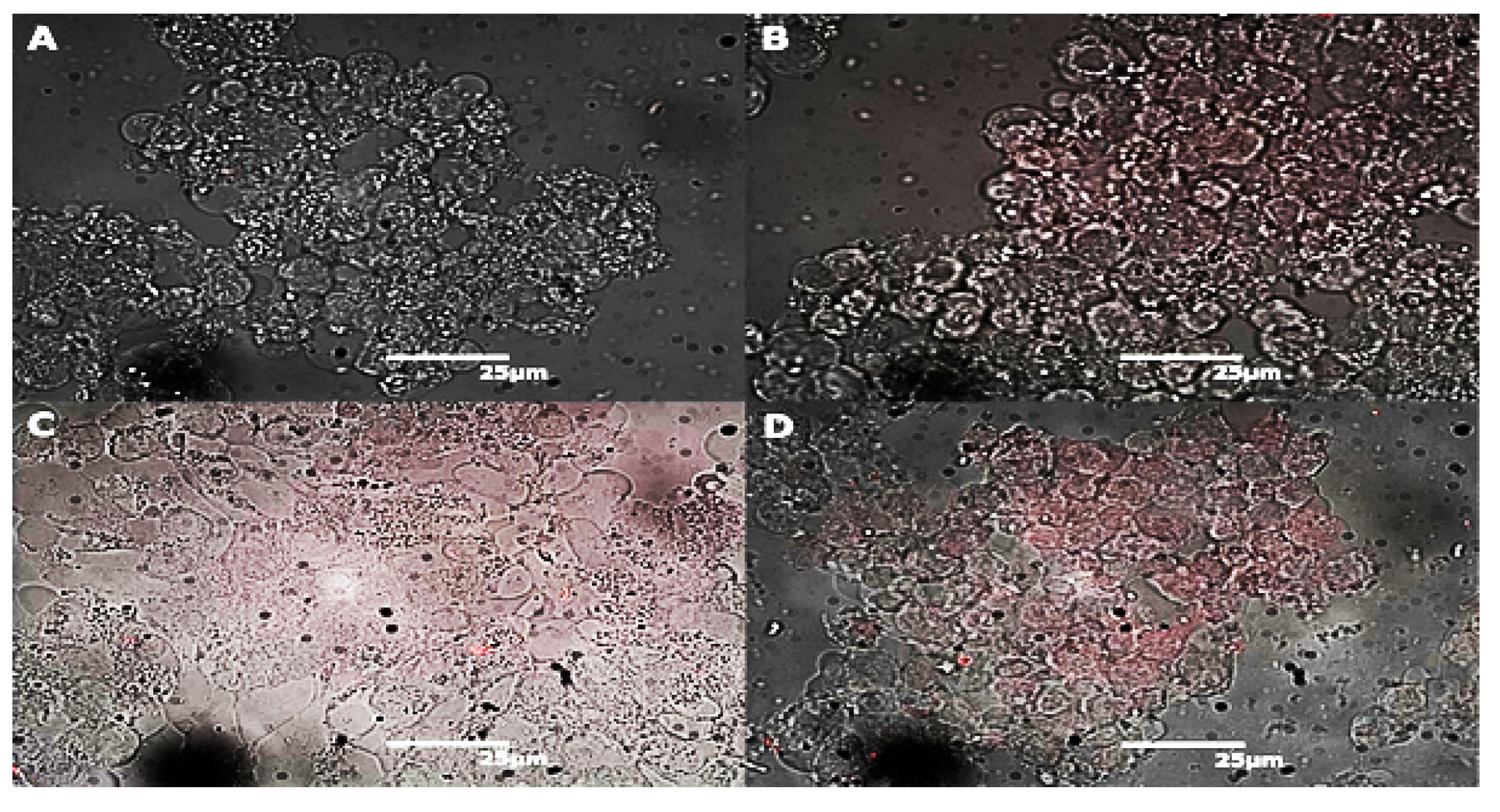 Materials 12 01702 g004 Materials 12 01702 g004