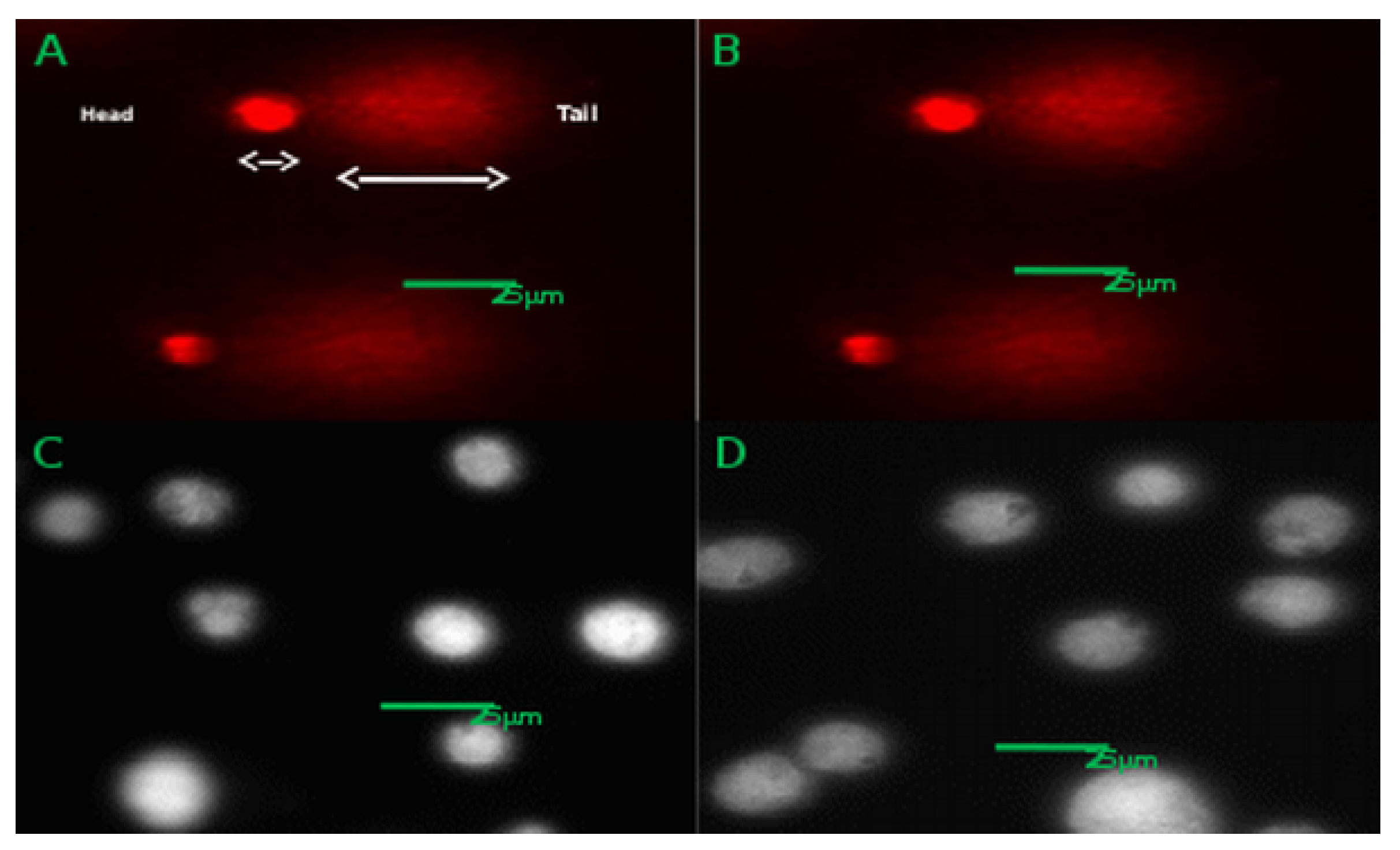 Materials 12 01702 g008 Materials 12 01702 g008