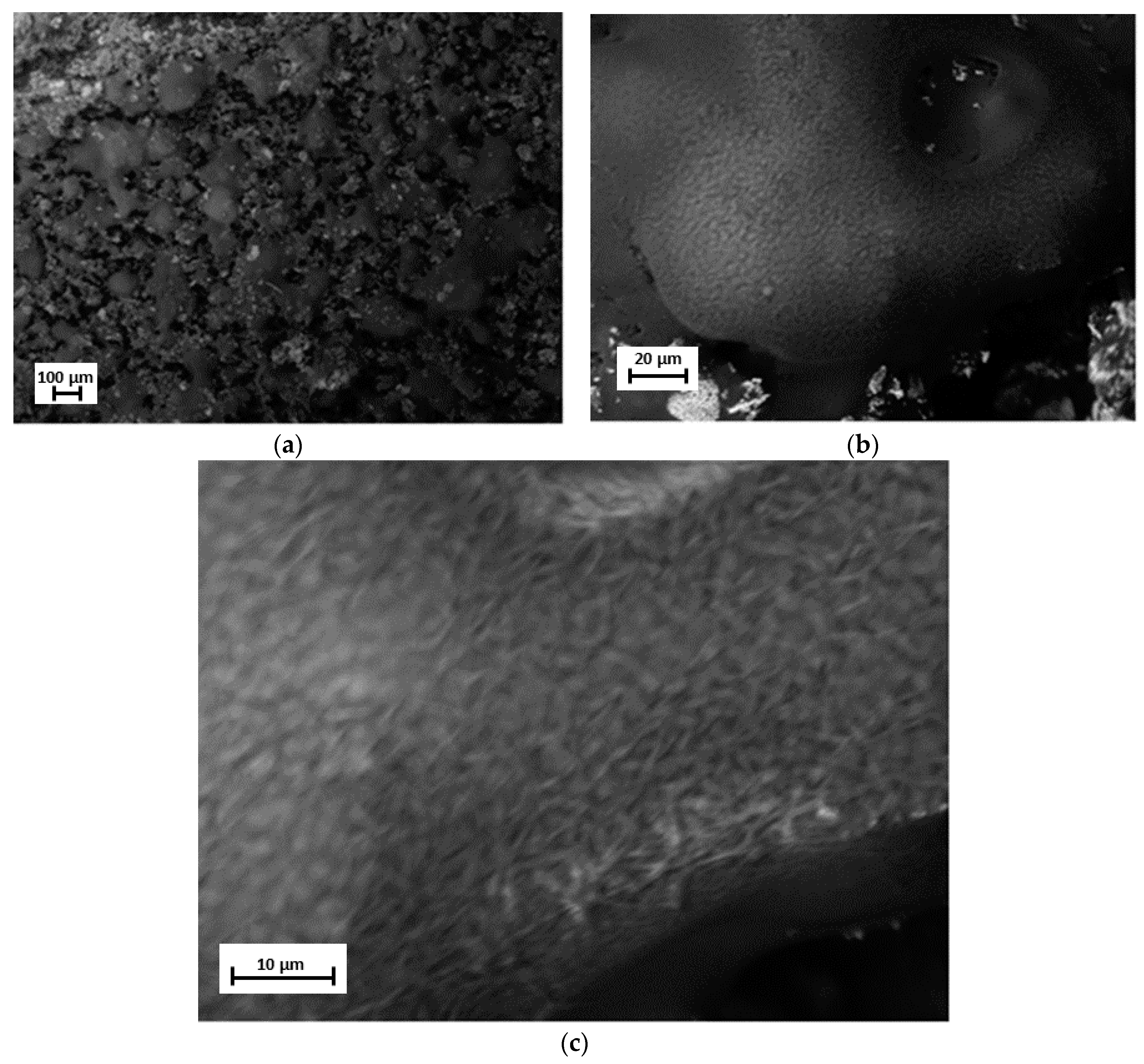 Materials 12 01712 g006