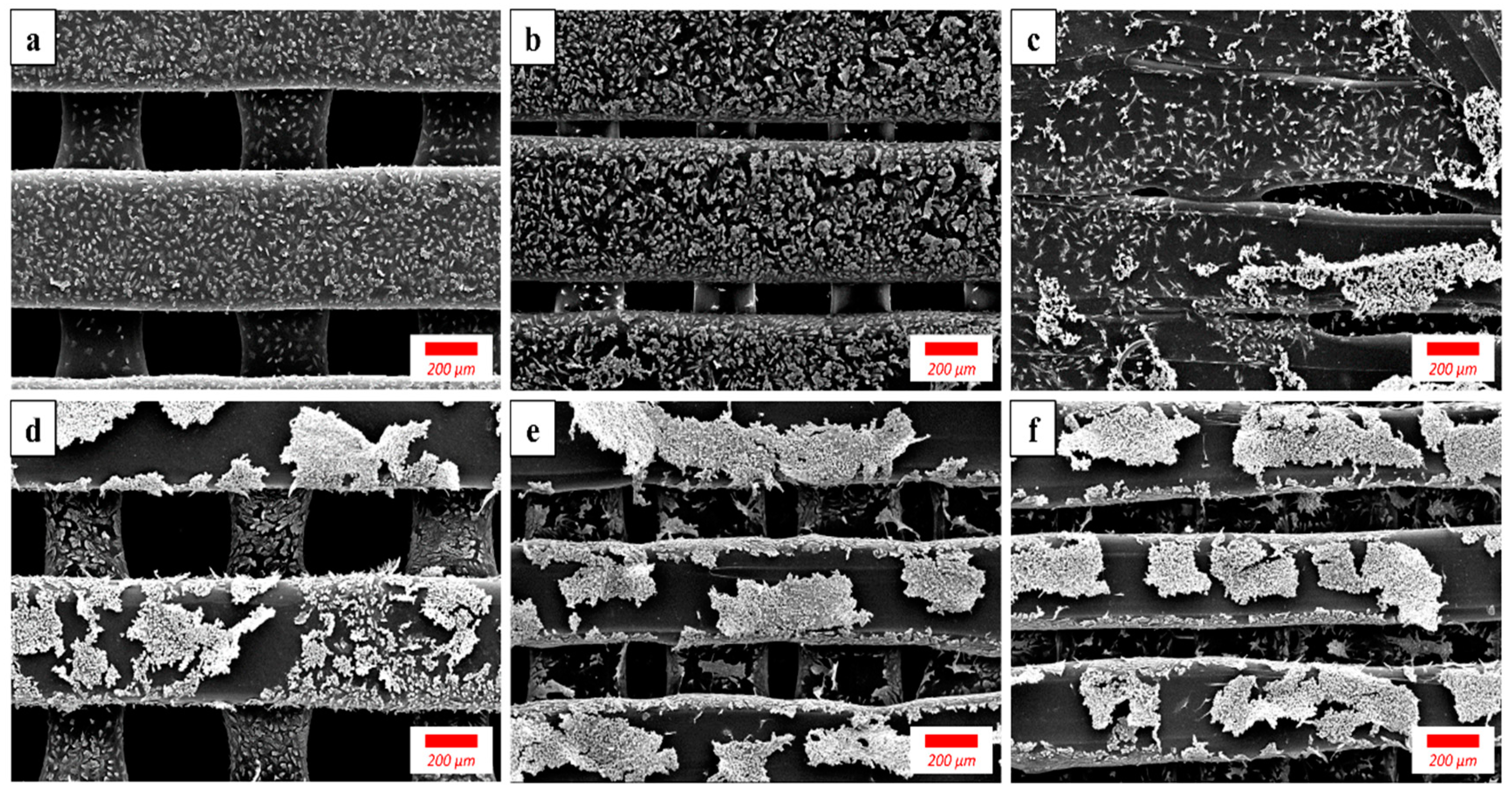 Materials 12 01718 g006