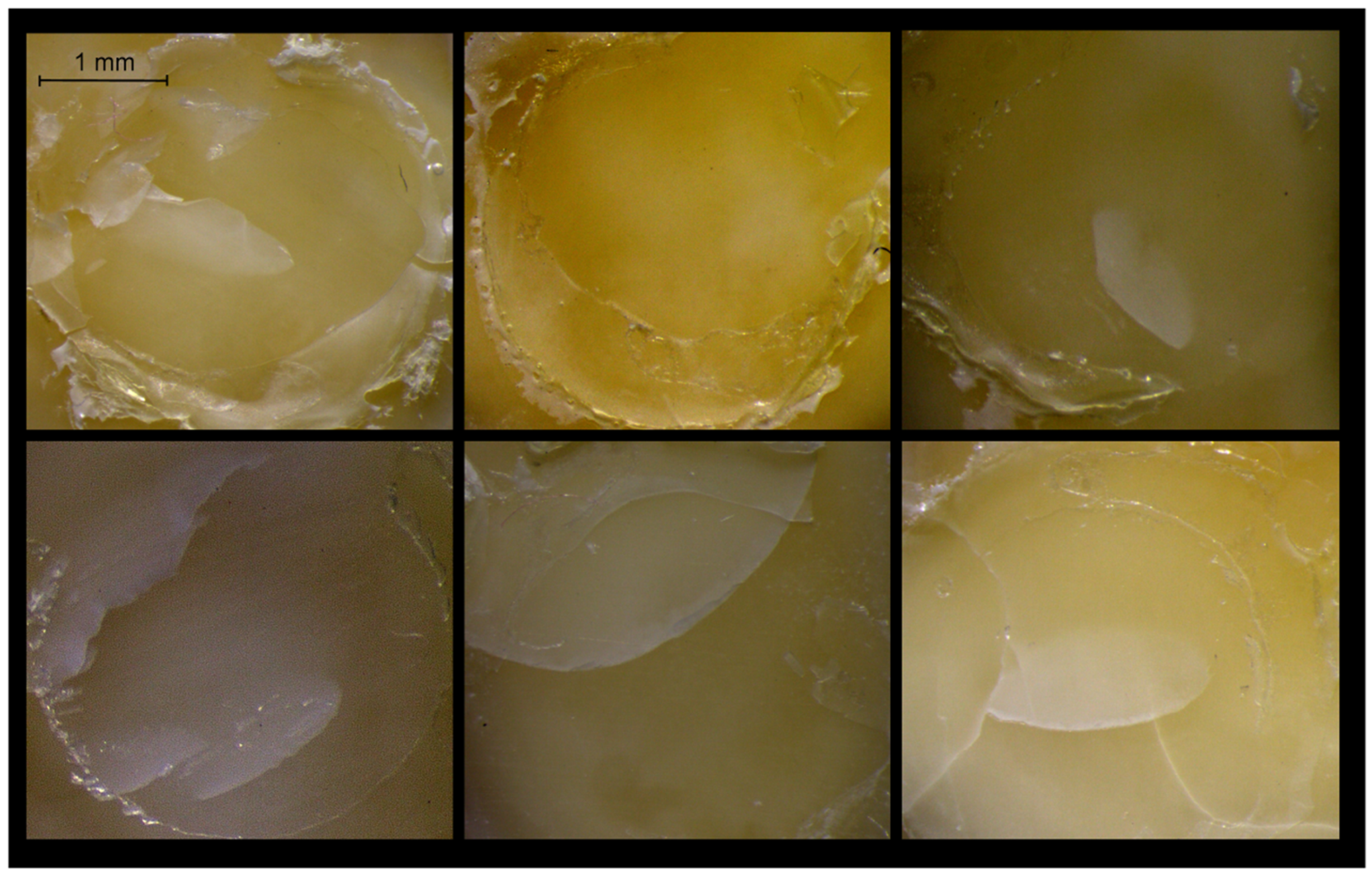 Materials 12 01720 g005 Materials 12 01720 g005