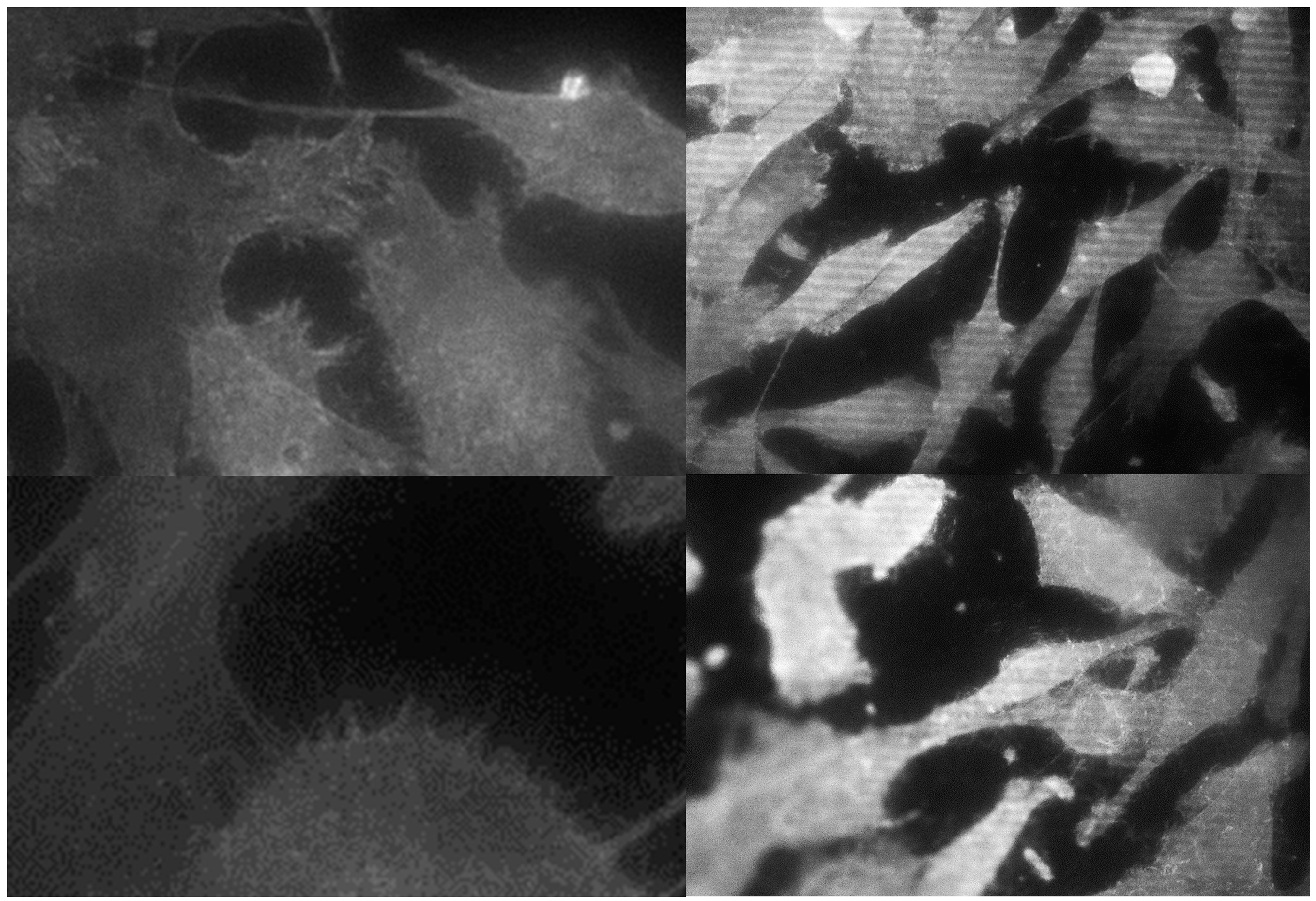 Materials 12 01735 g001