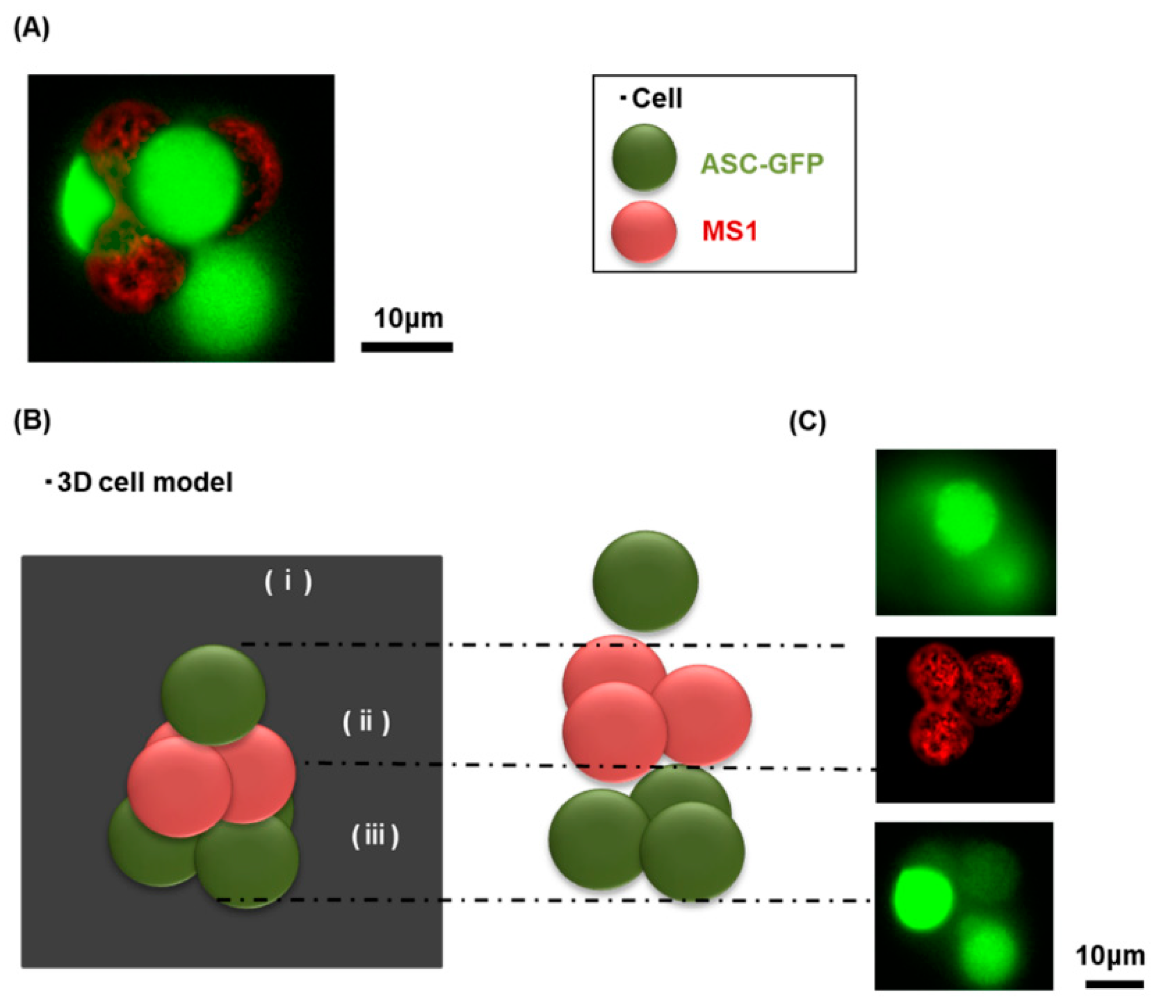 Materials 12 01759 g002 Materials 12 01759 g002