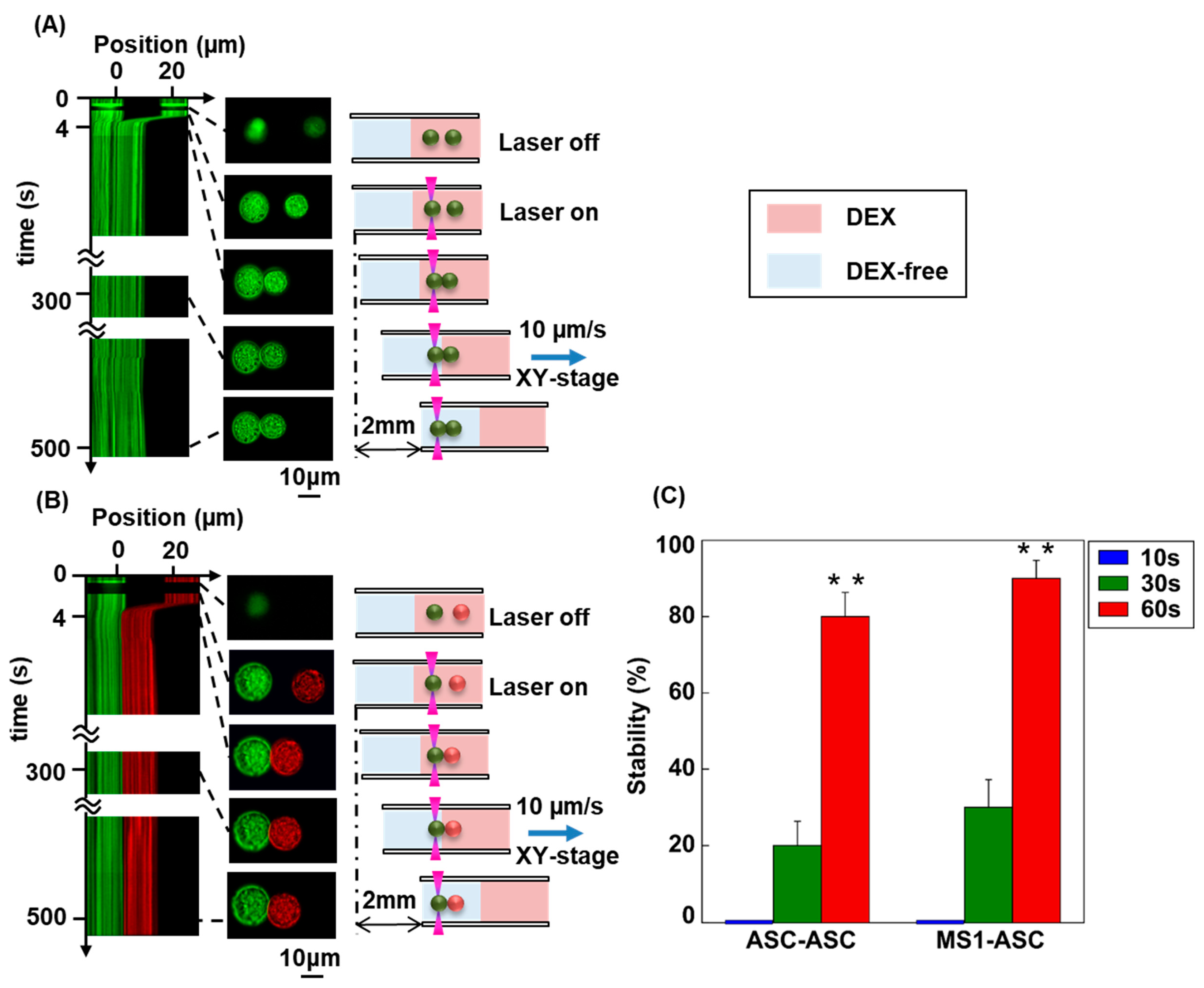 Materials 12 01759 g004 Materials 12 01759 g004