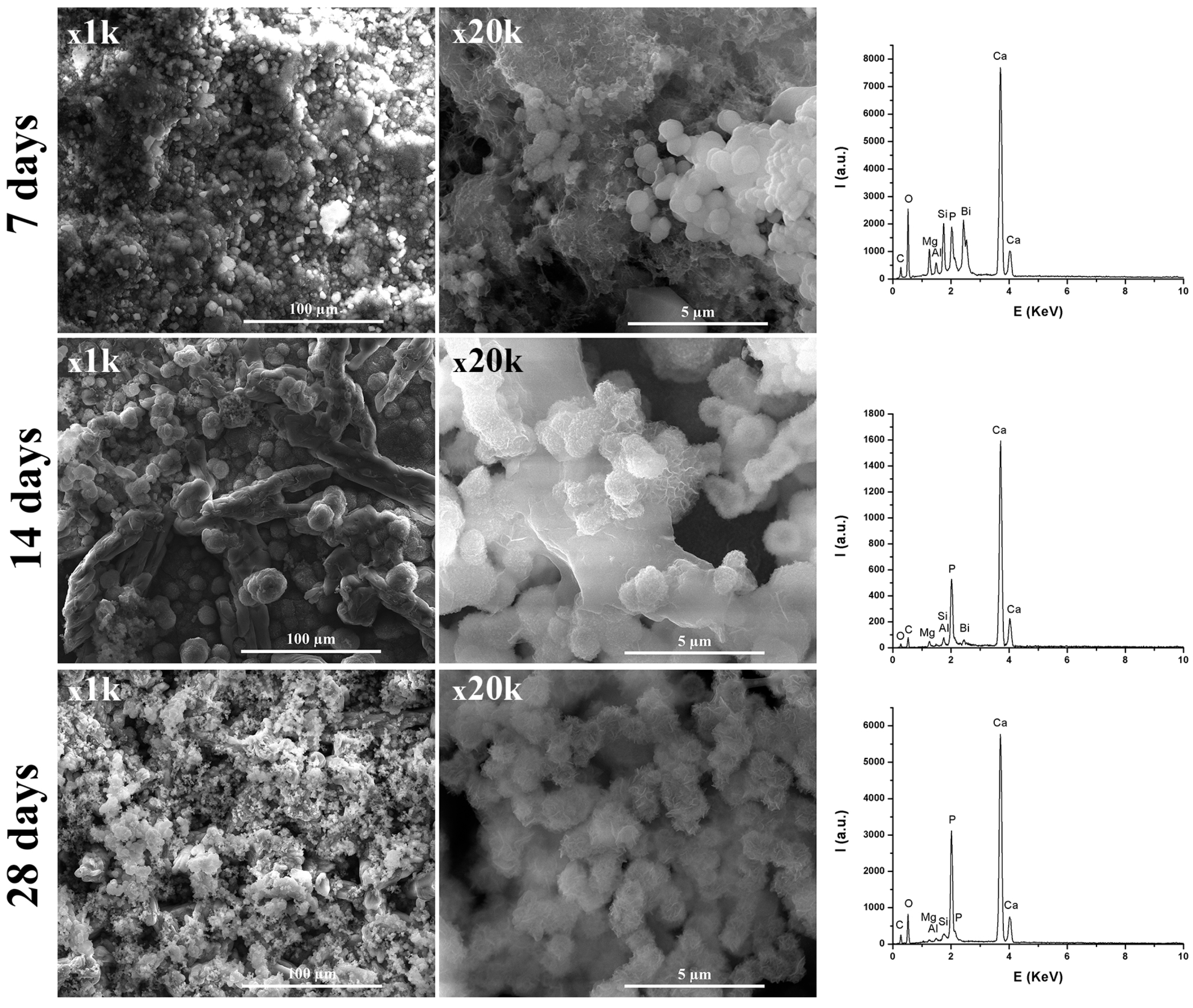 Materials 12 01772 g009