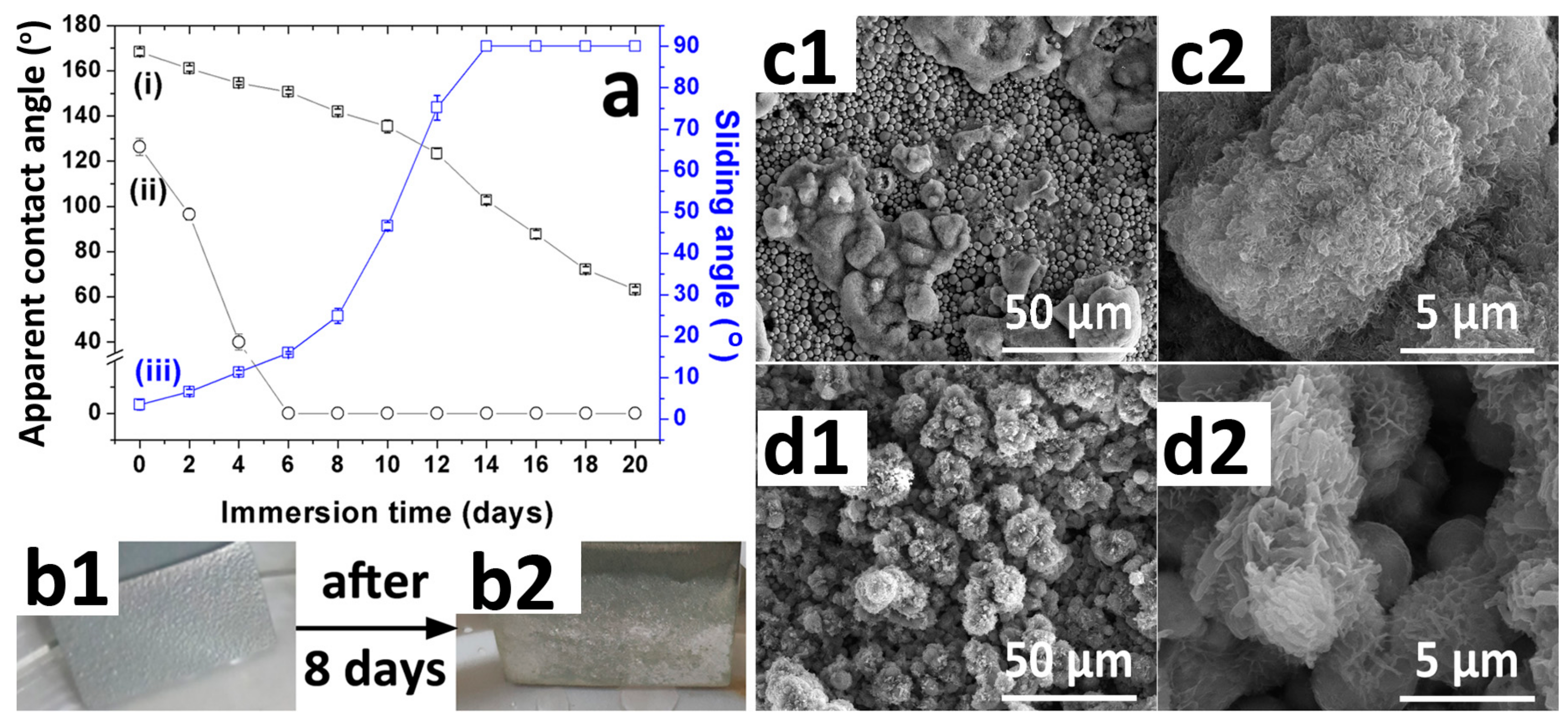 Materials 12 01779 g006