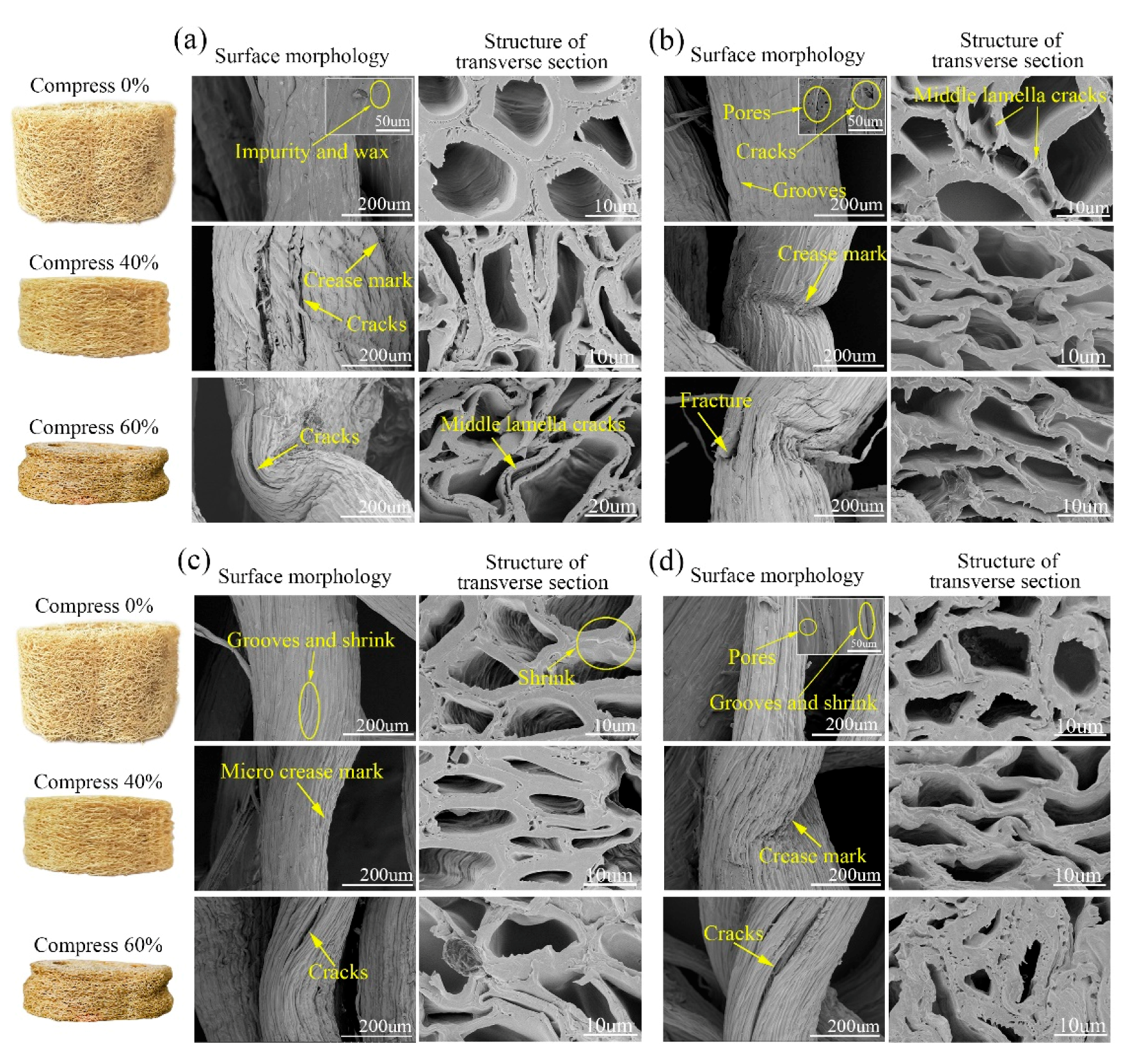 Materials 12 01796 g007