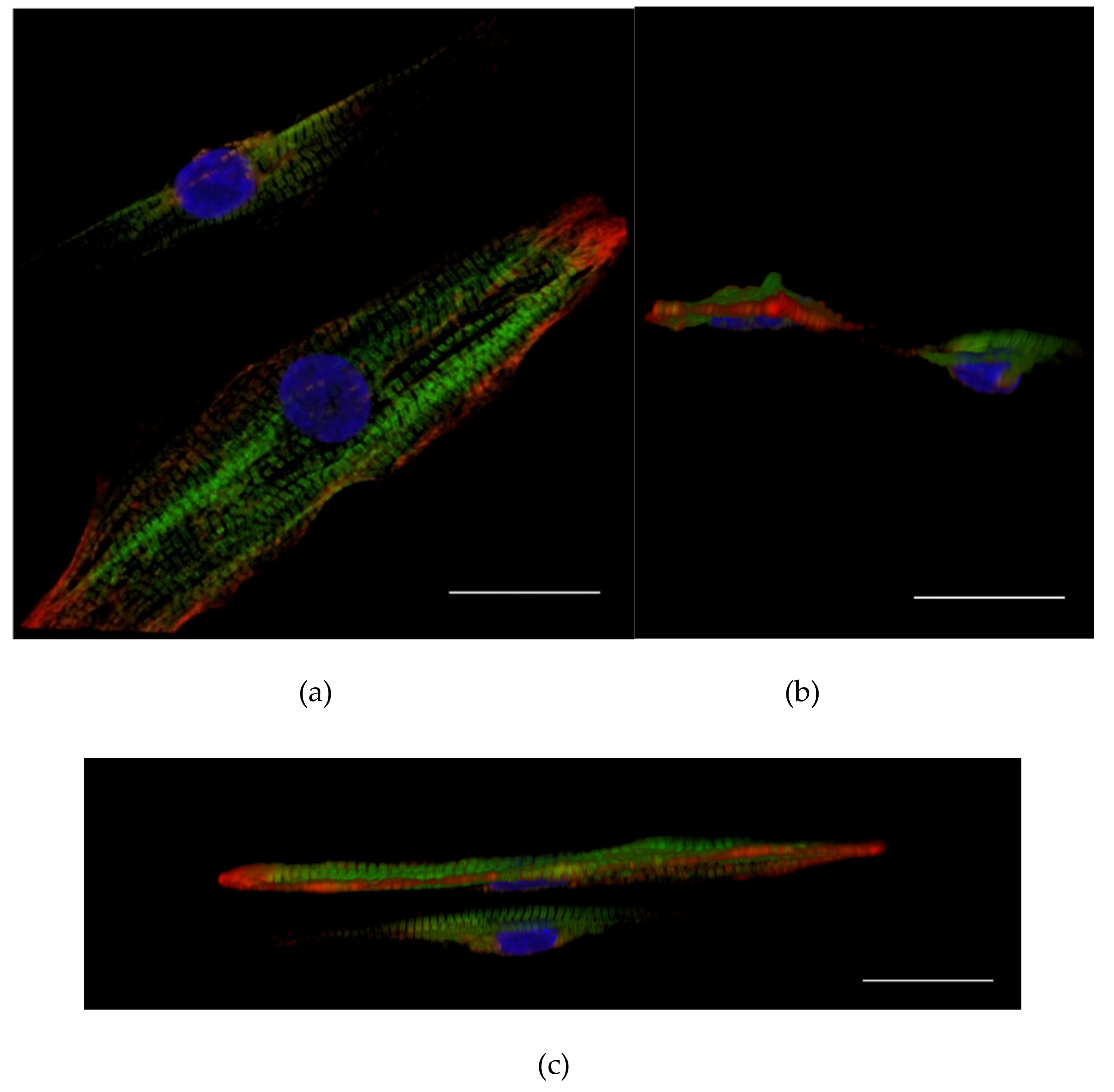 Materials 12 01805 g003 Materials 12 01805 g003