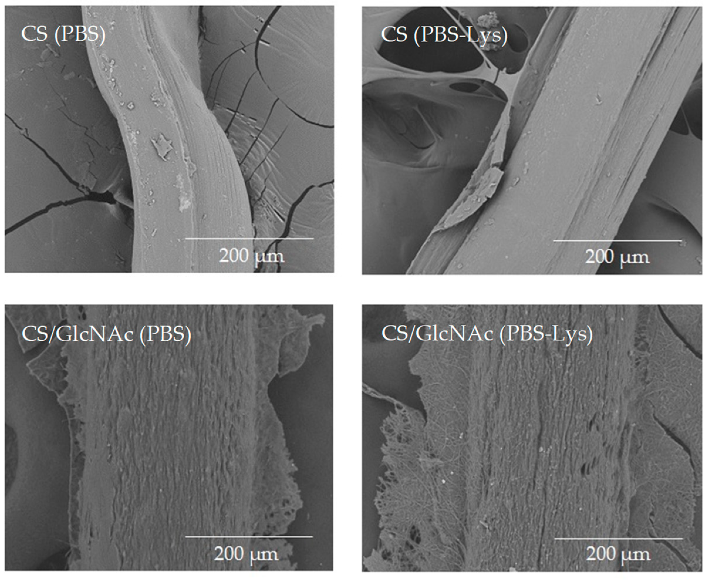 Materials 12 01807 g006 Materials 12 01807 g006
