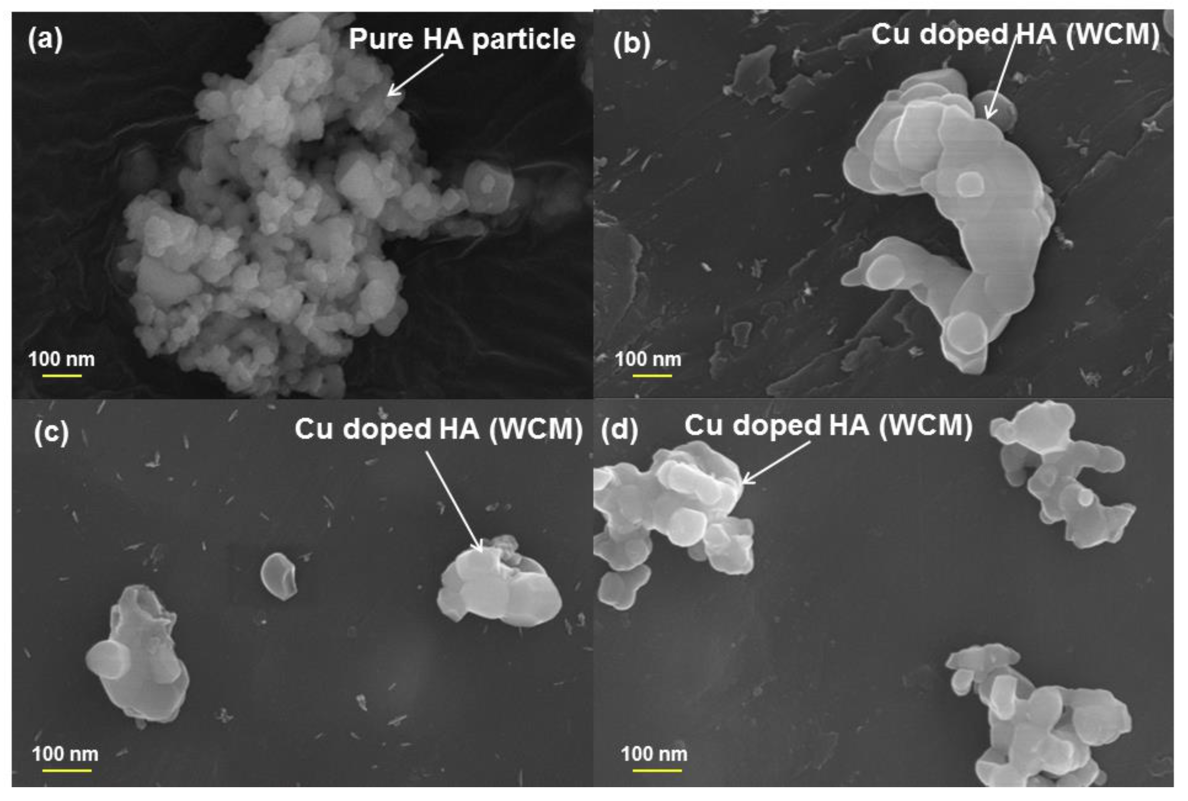 Materials 12 01814 g0a2 Materials 12 01814 g0a2
