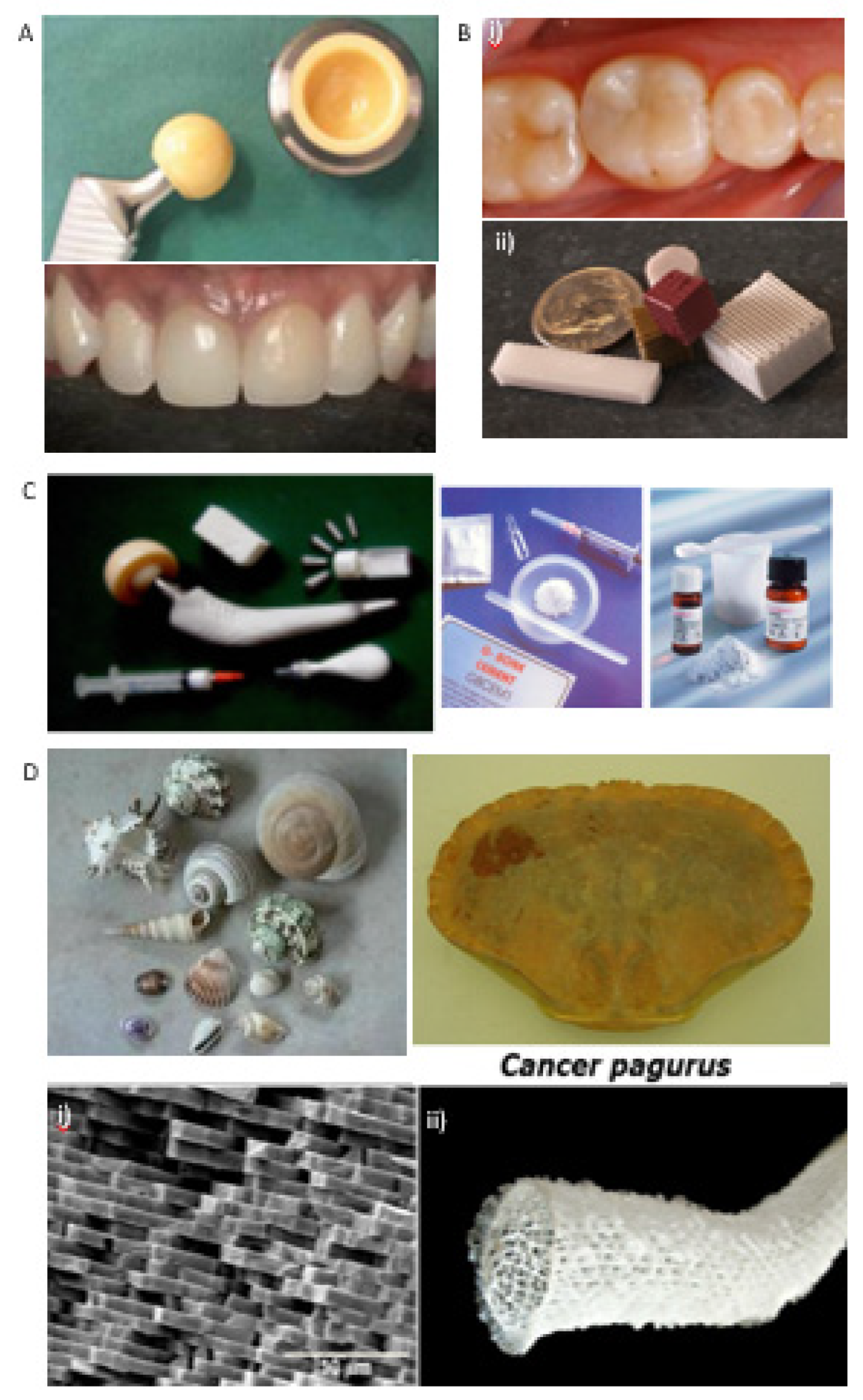 Materials 12 01824 g002